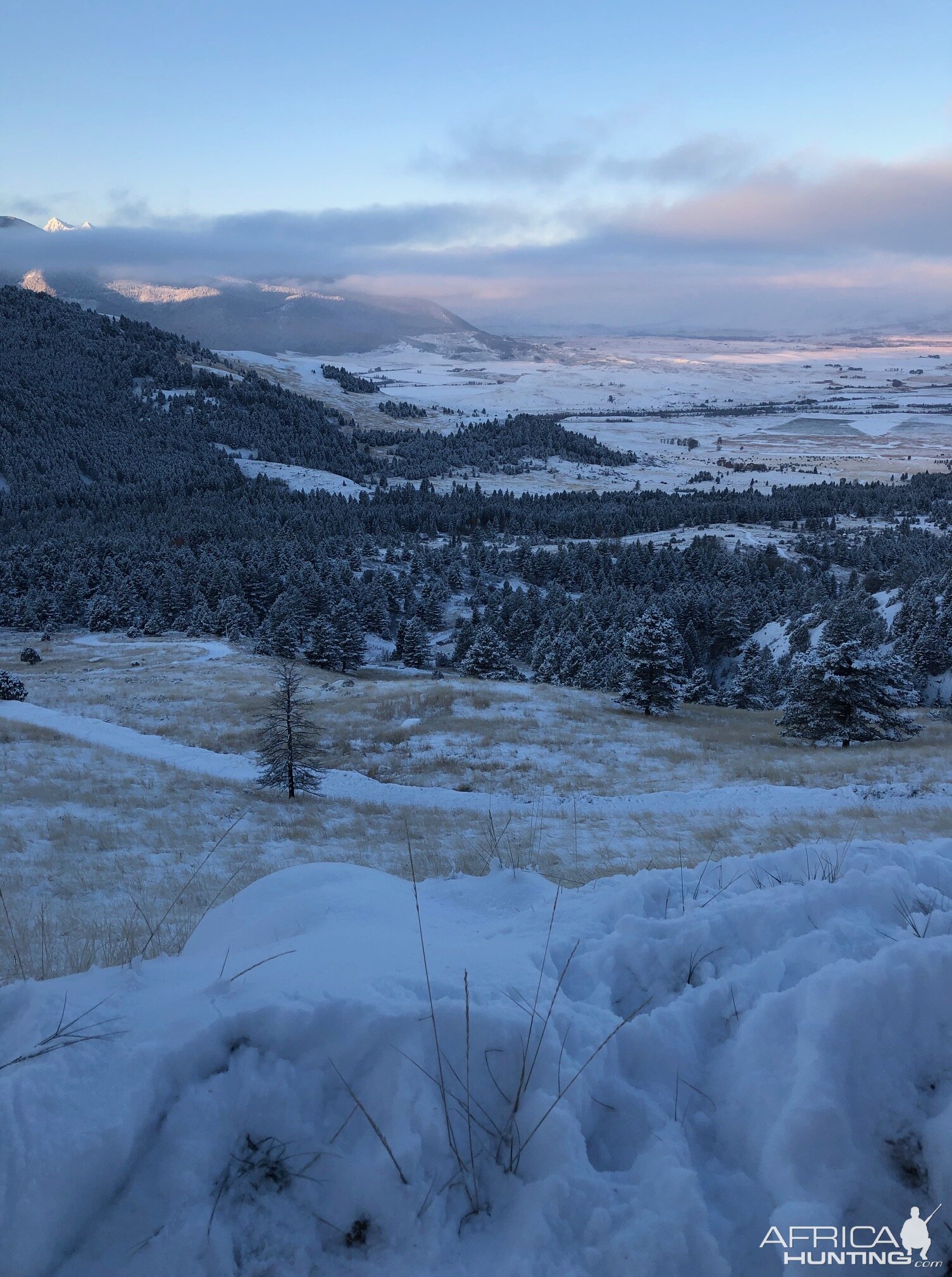 Hunting Area in Montana USA