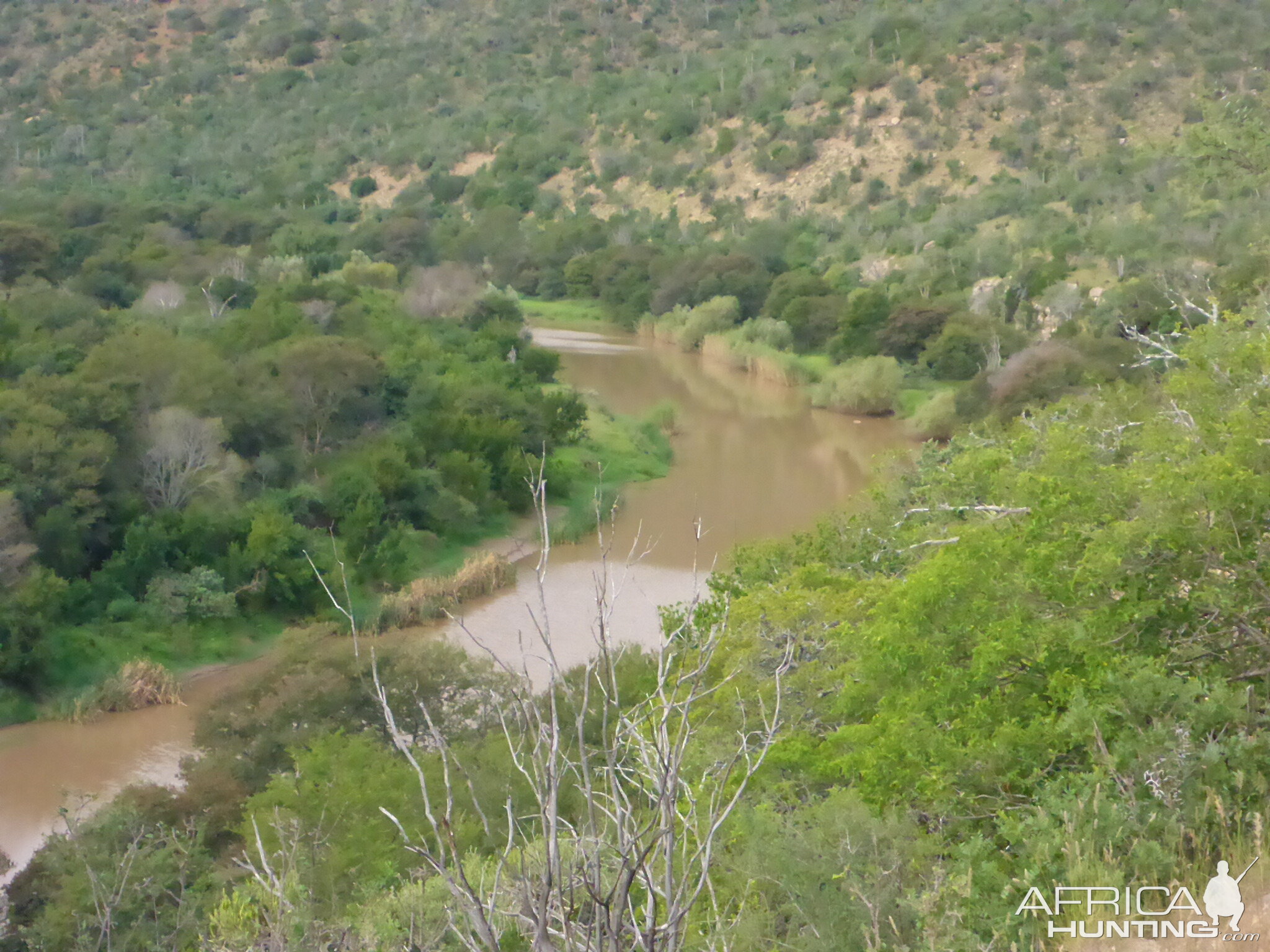 Hunting Area in South Africa | AfricaHunting.com