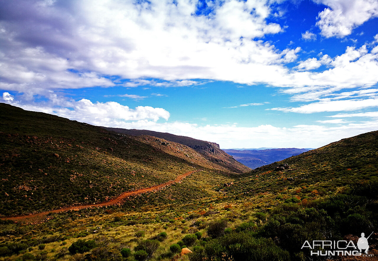 Hunting Area Karoo South Africa