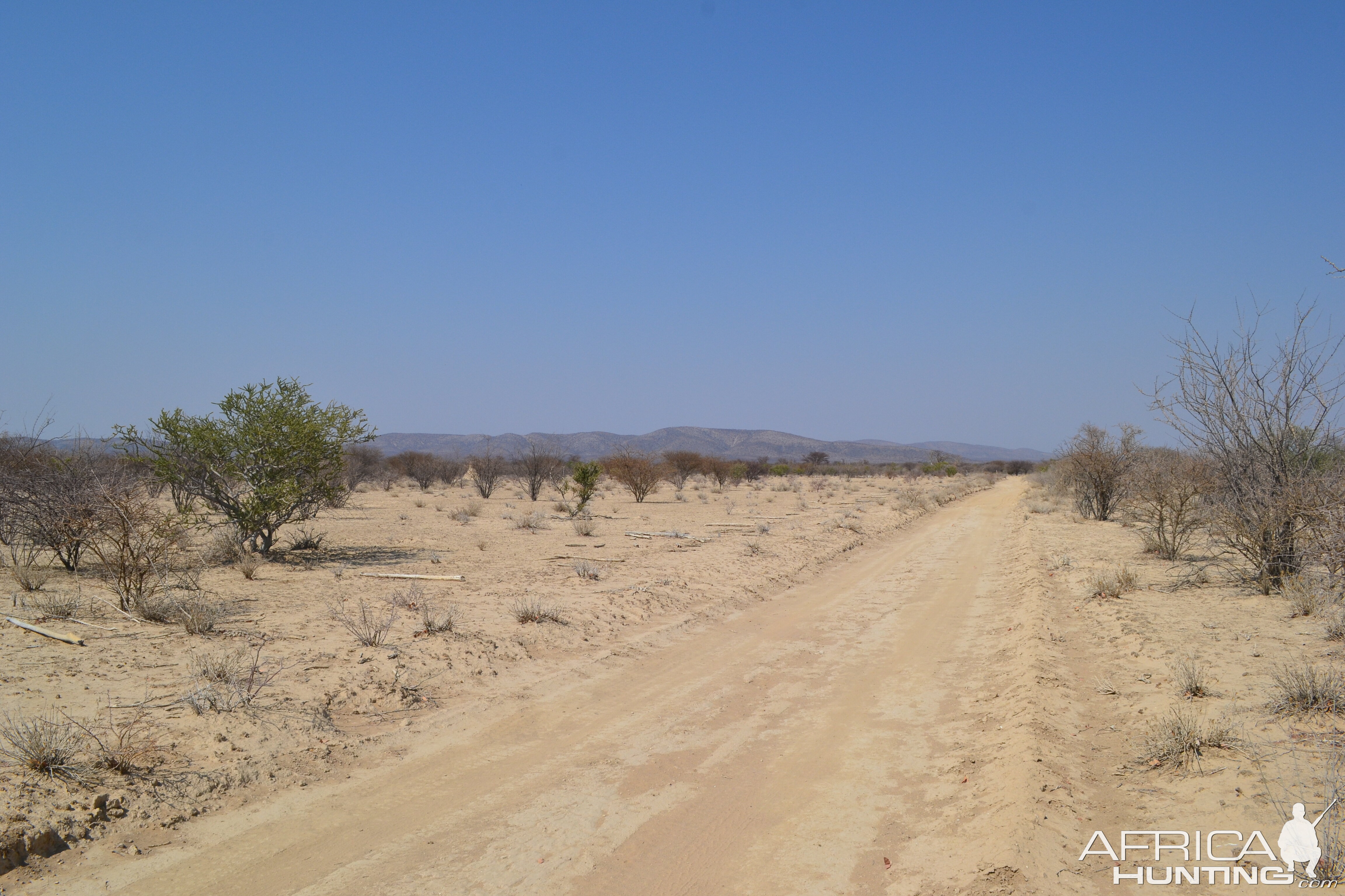 Hunting Area Namibia