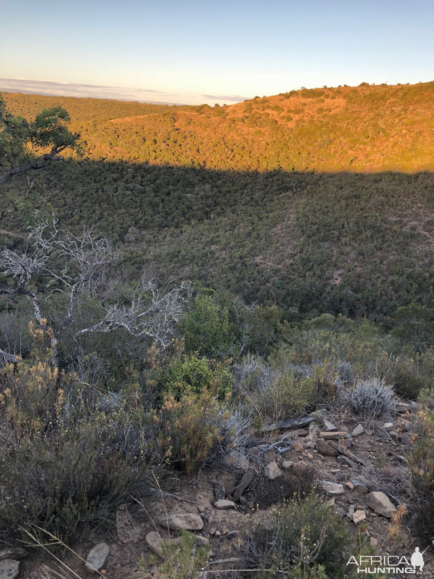 Hunting Area South Africa