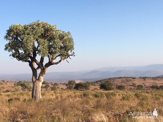 Hunting Area South Africa