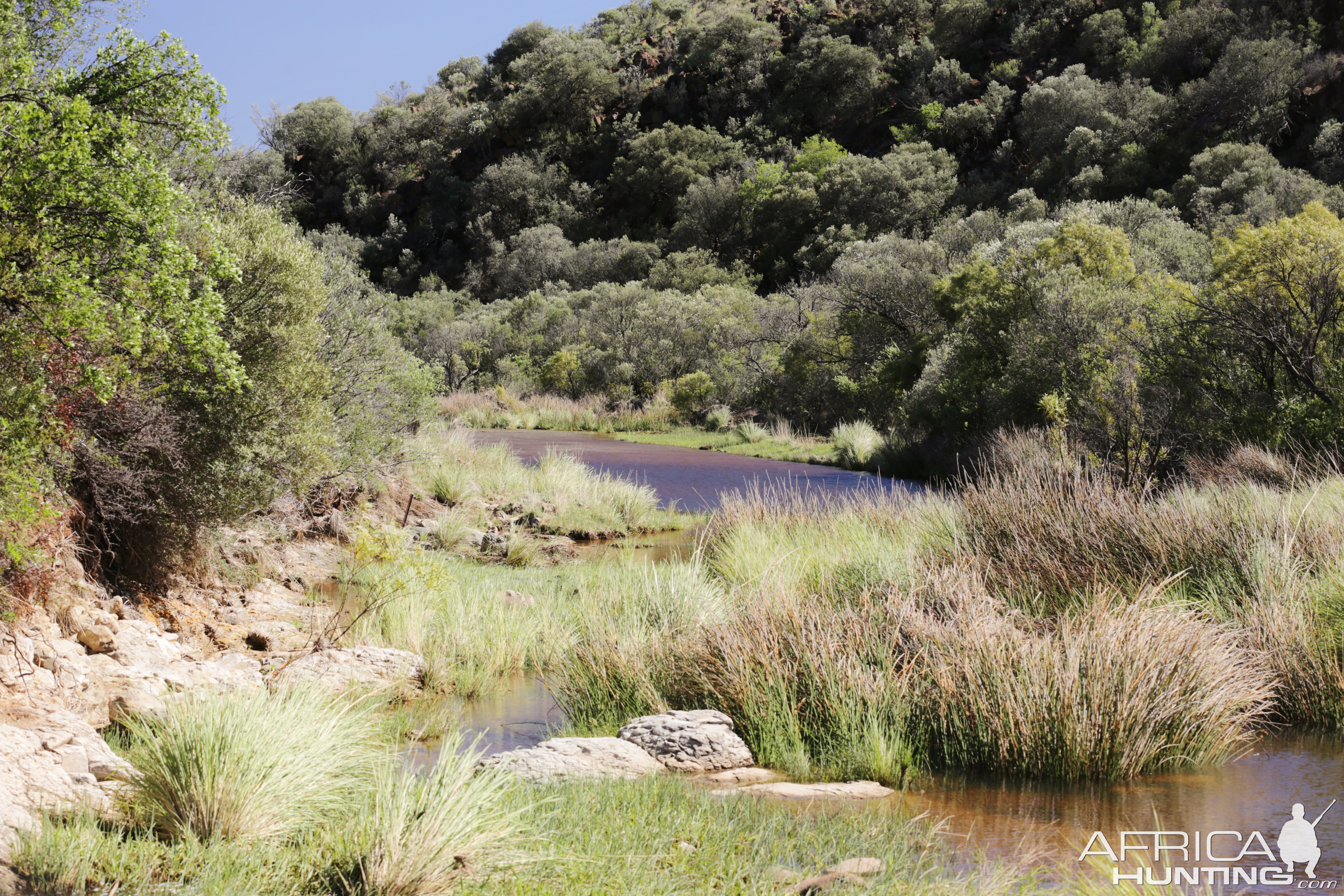 Hunting Area South Africa