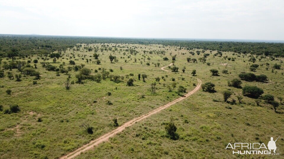 Hunting Area South Africa