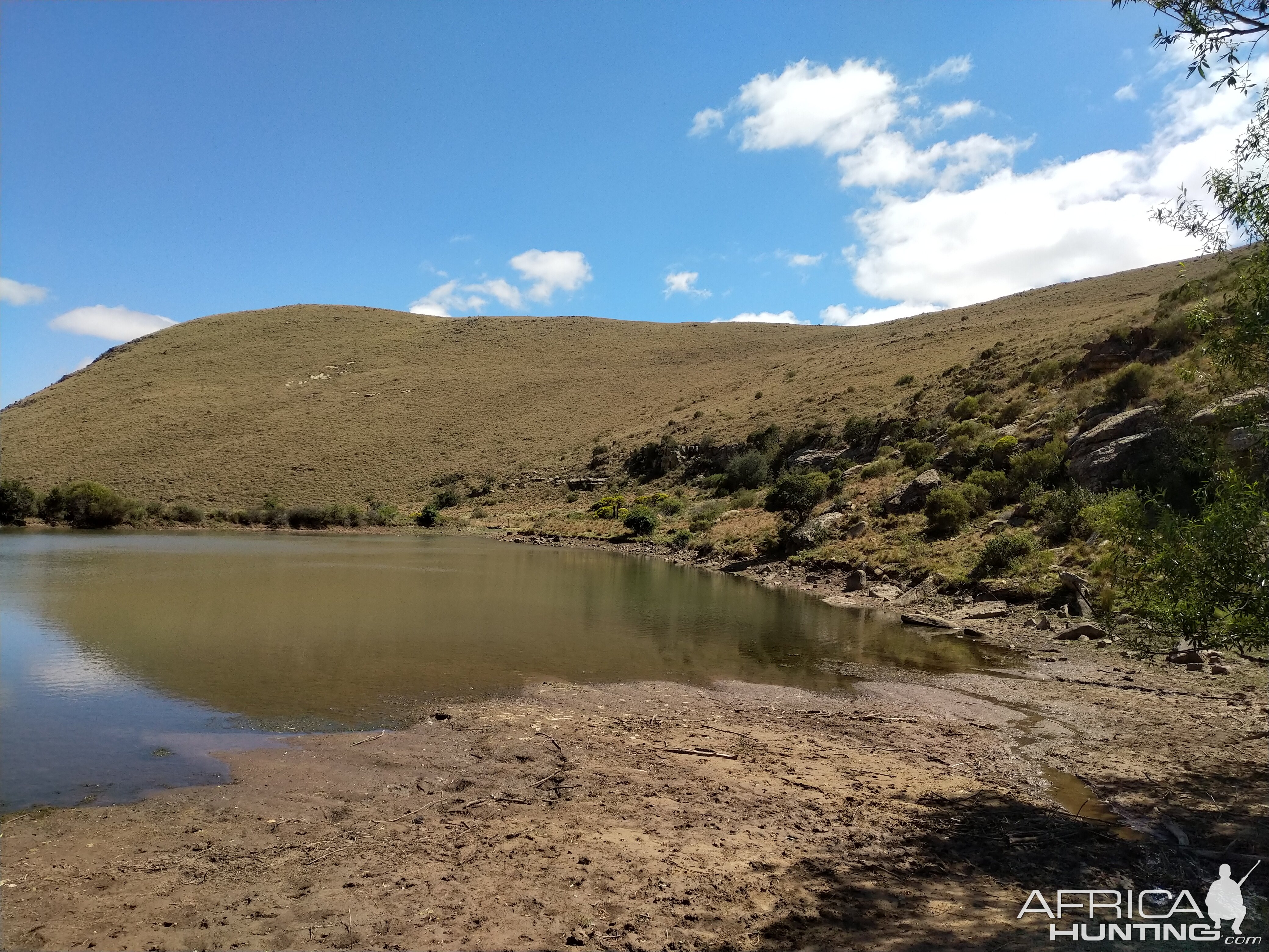 Hunting Area South Africa