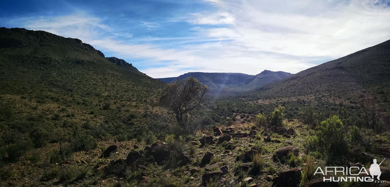 Hunting Area South Africa