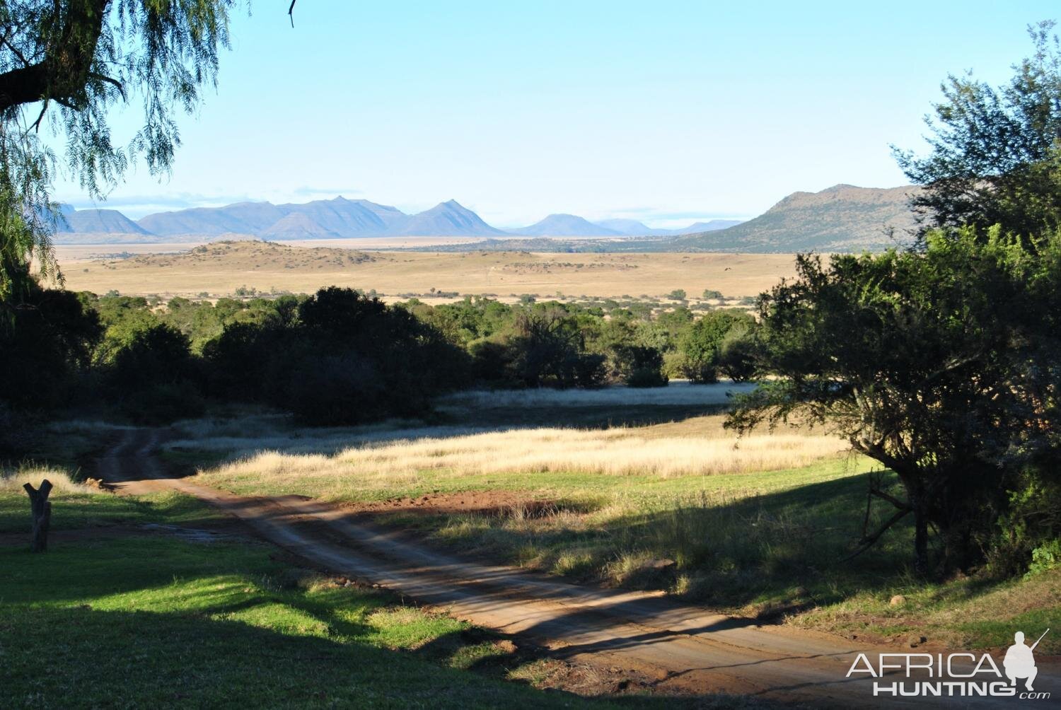 Hunting Area South Africa