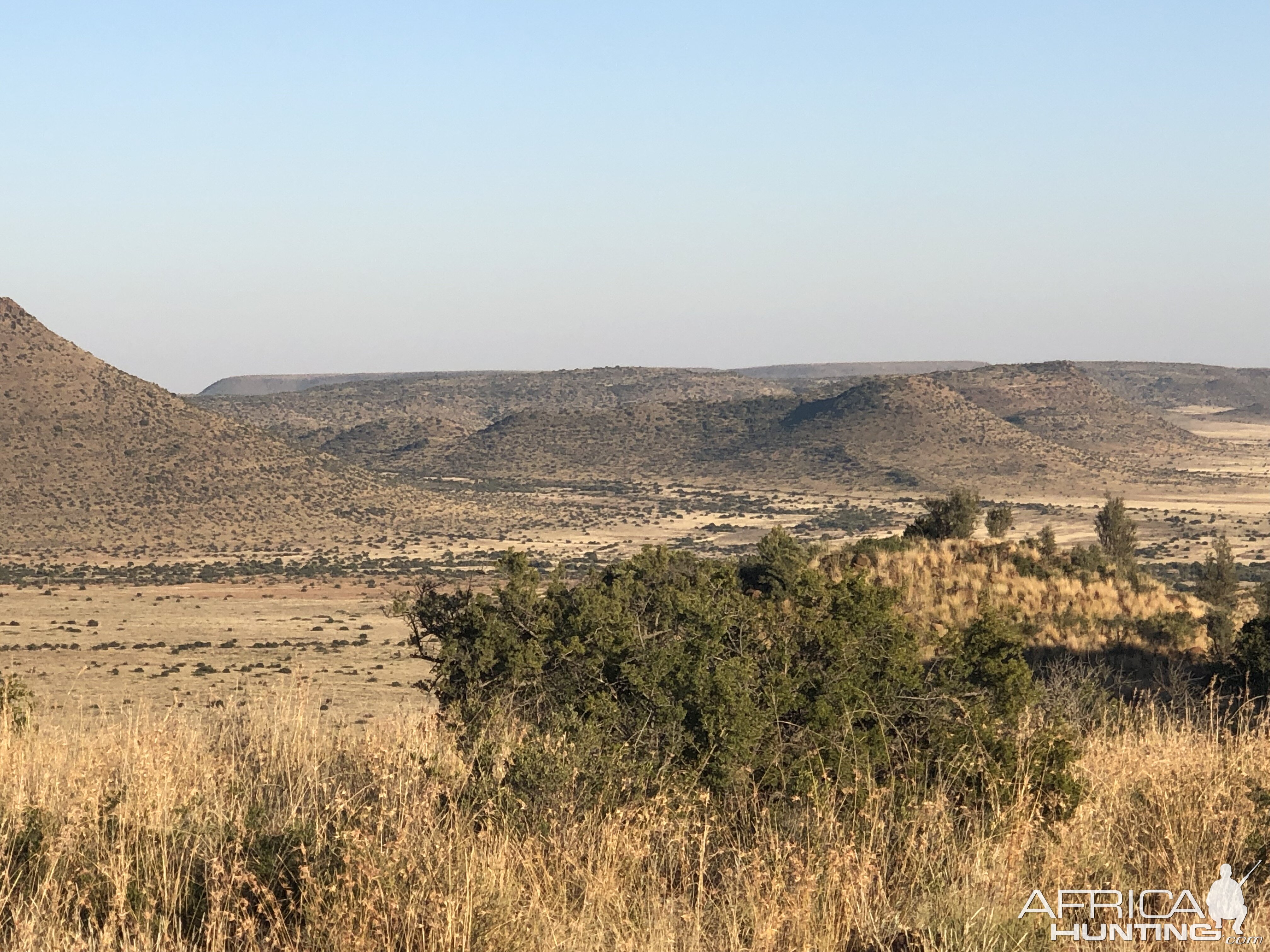 Hunting Area South Africa