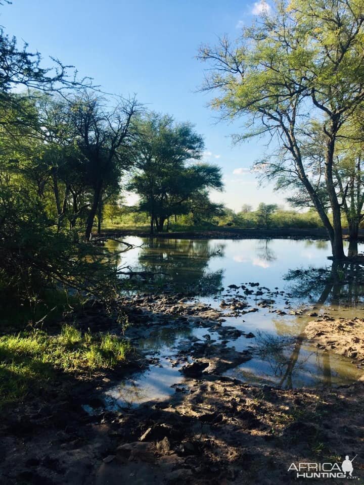 Hunting Area South Africa