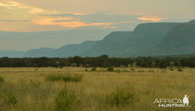 Hunting Area South Africa
