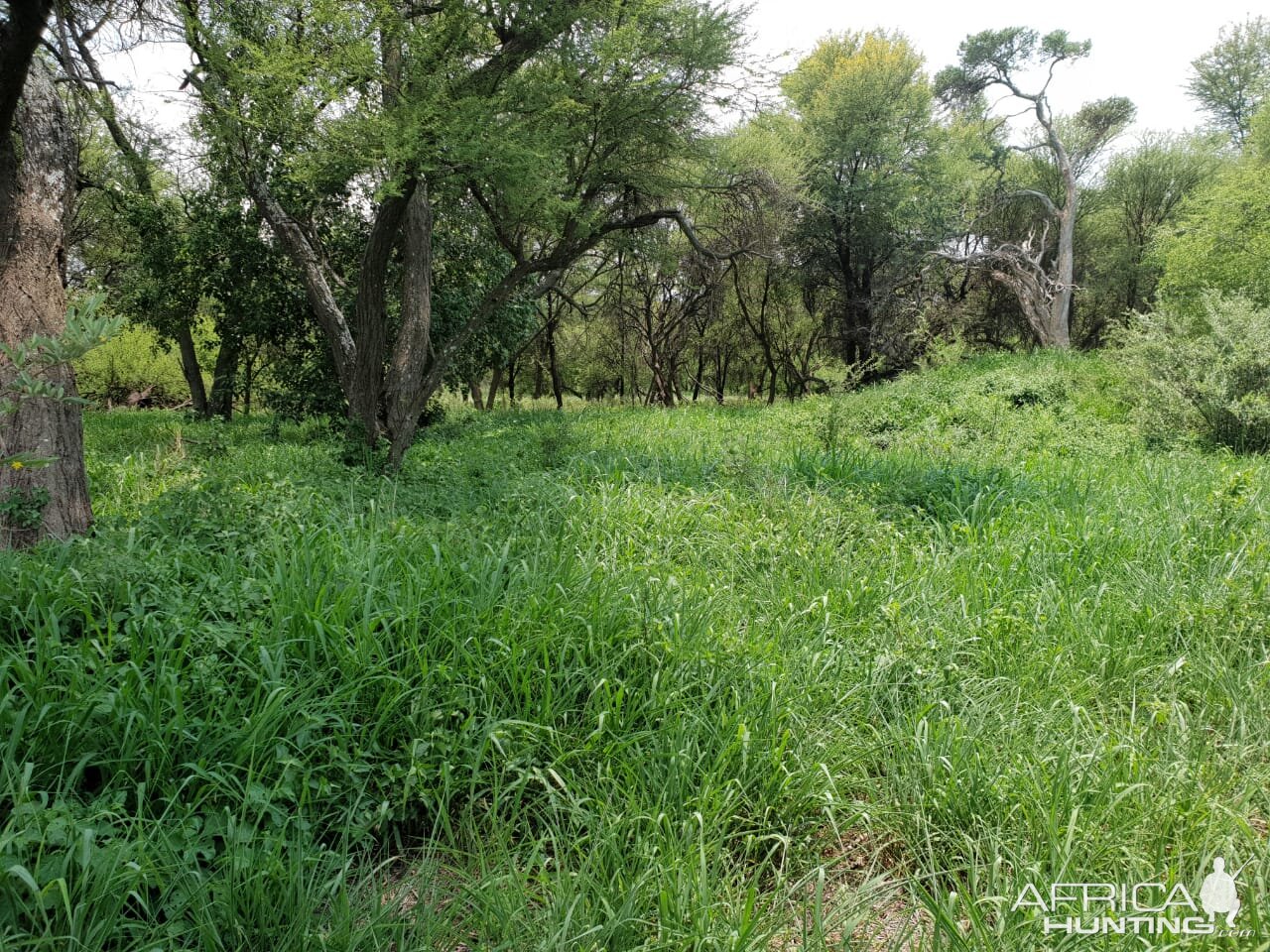 Hunting Area South Africa