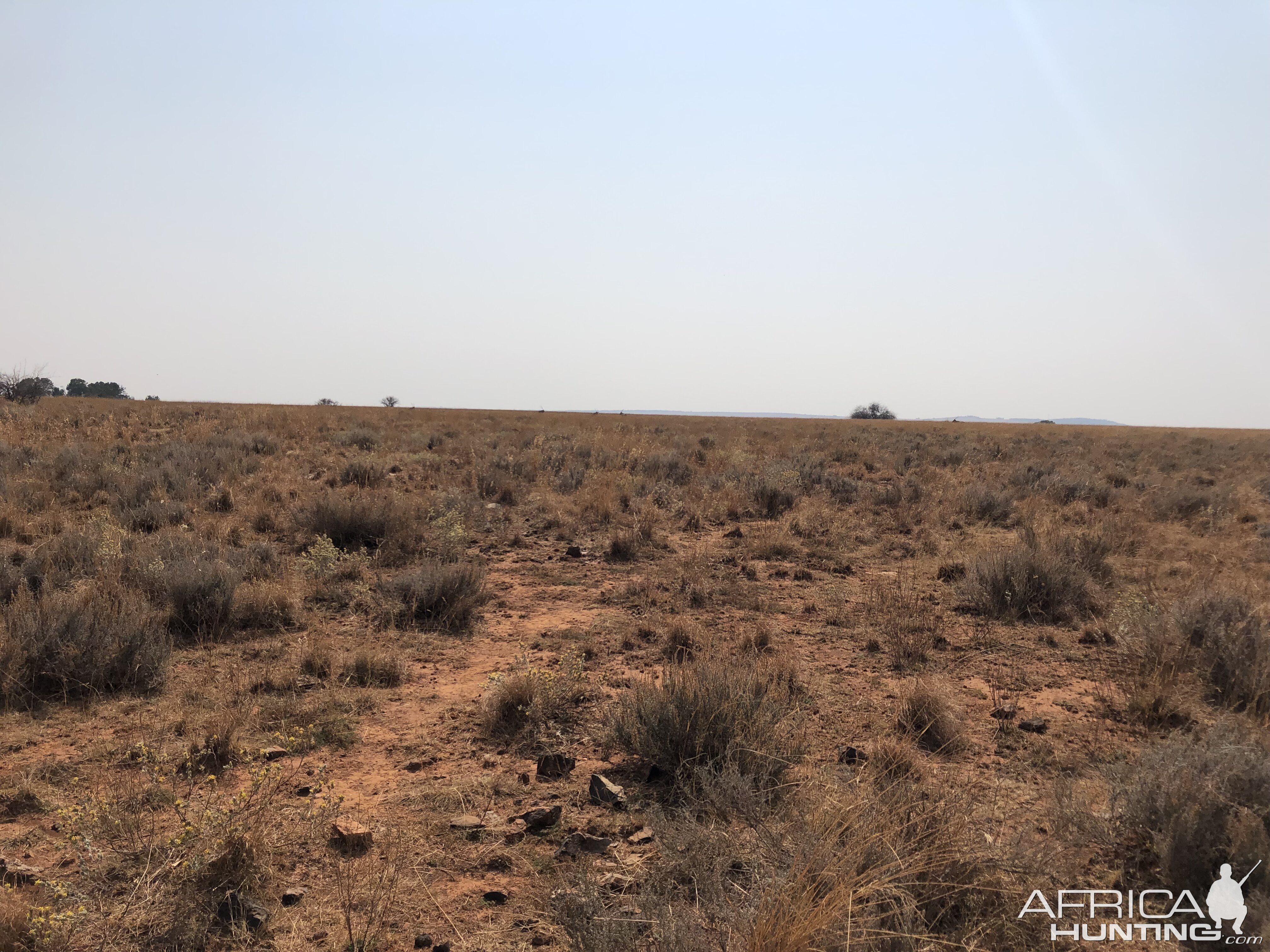 Hunting Area South Africa