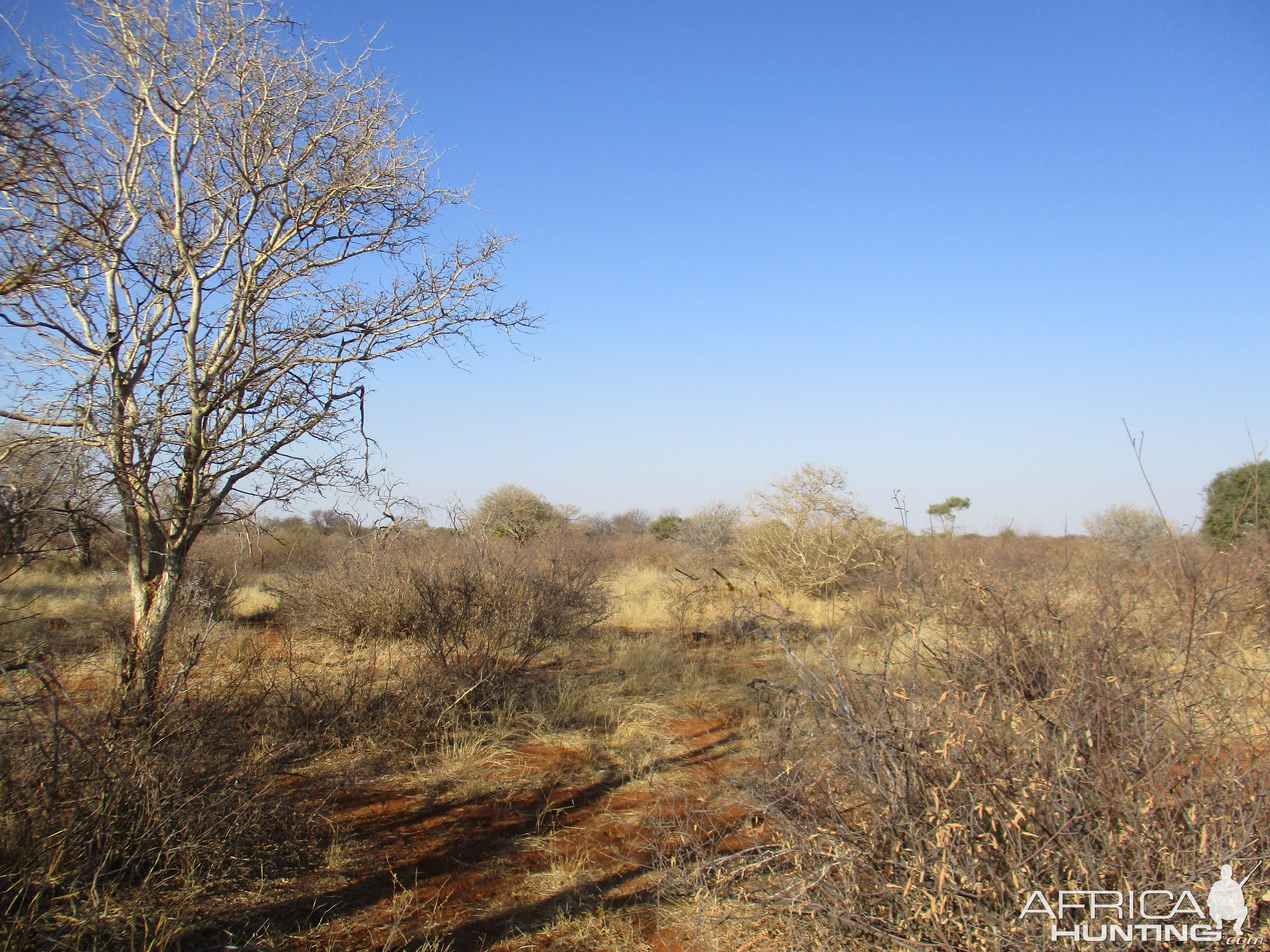 Hunting Area South Africa