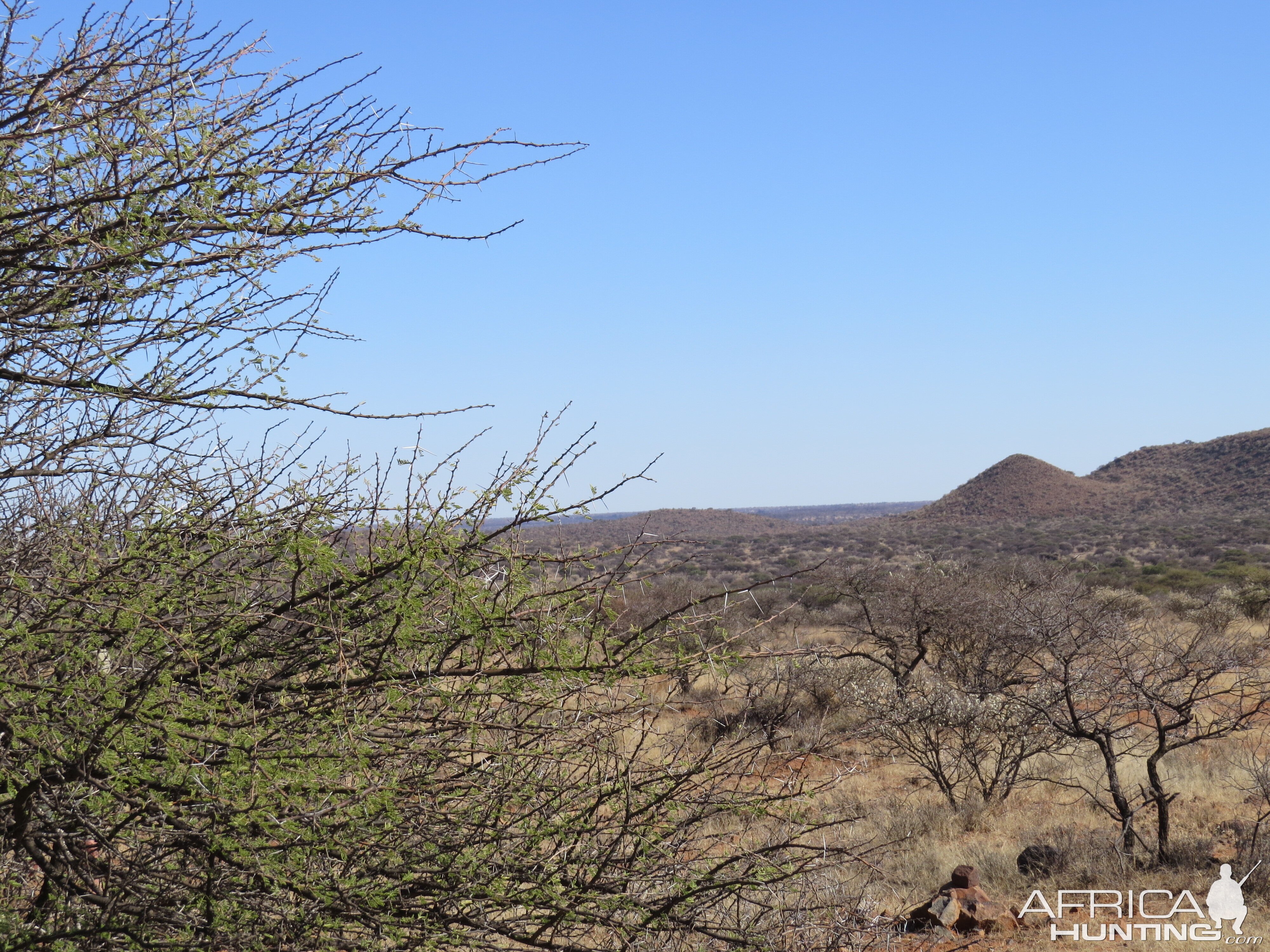 Hunting Area South Africa