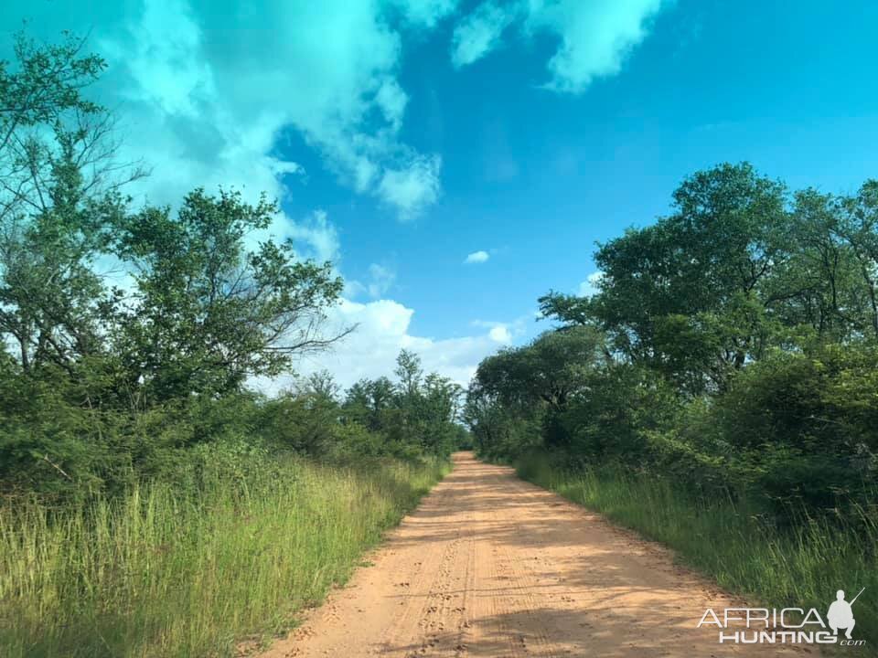 Hunting Area Zimbabwe