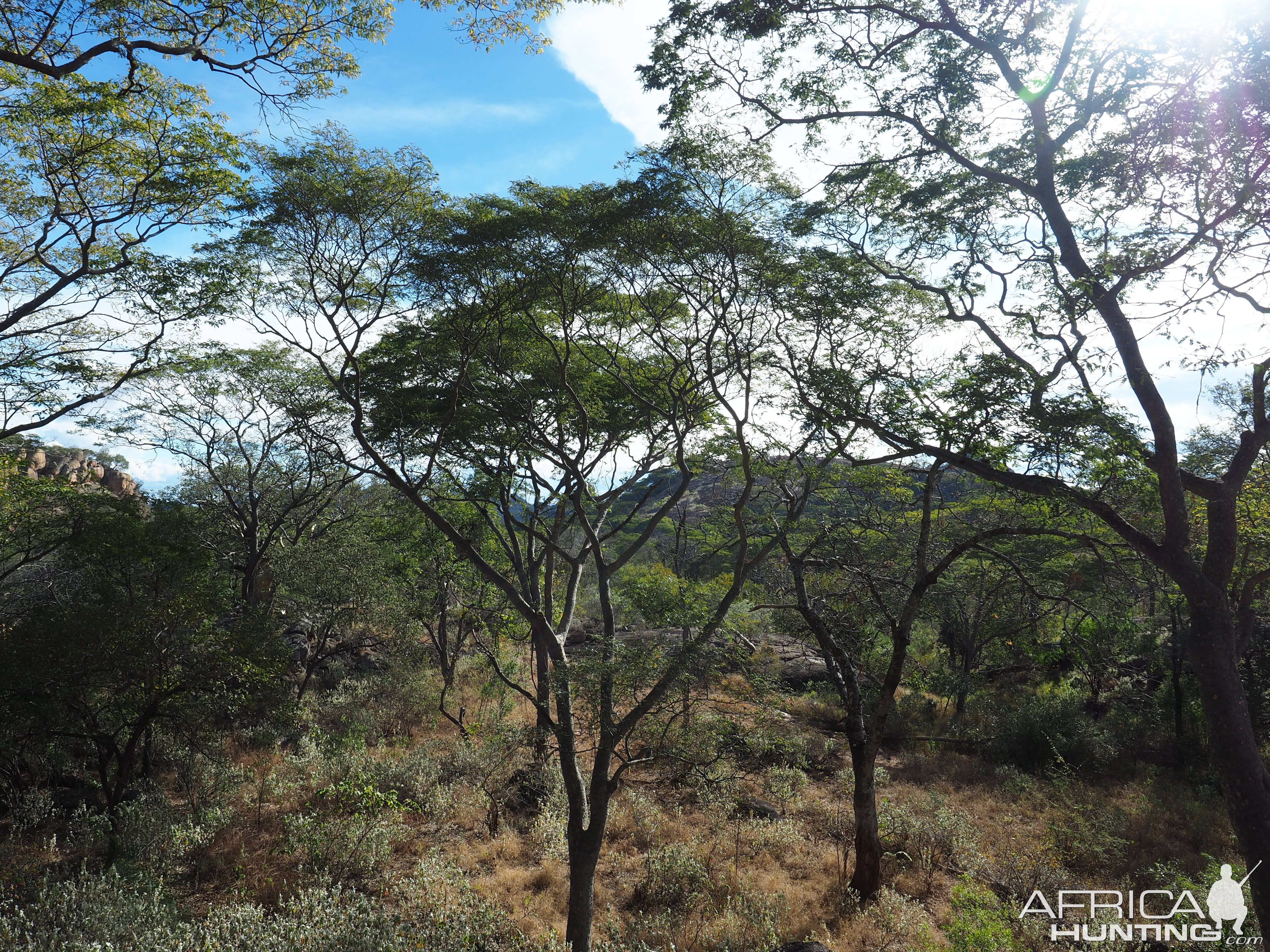 Hunting Area Zimbabwe