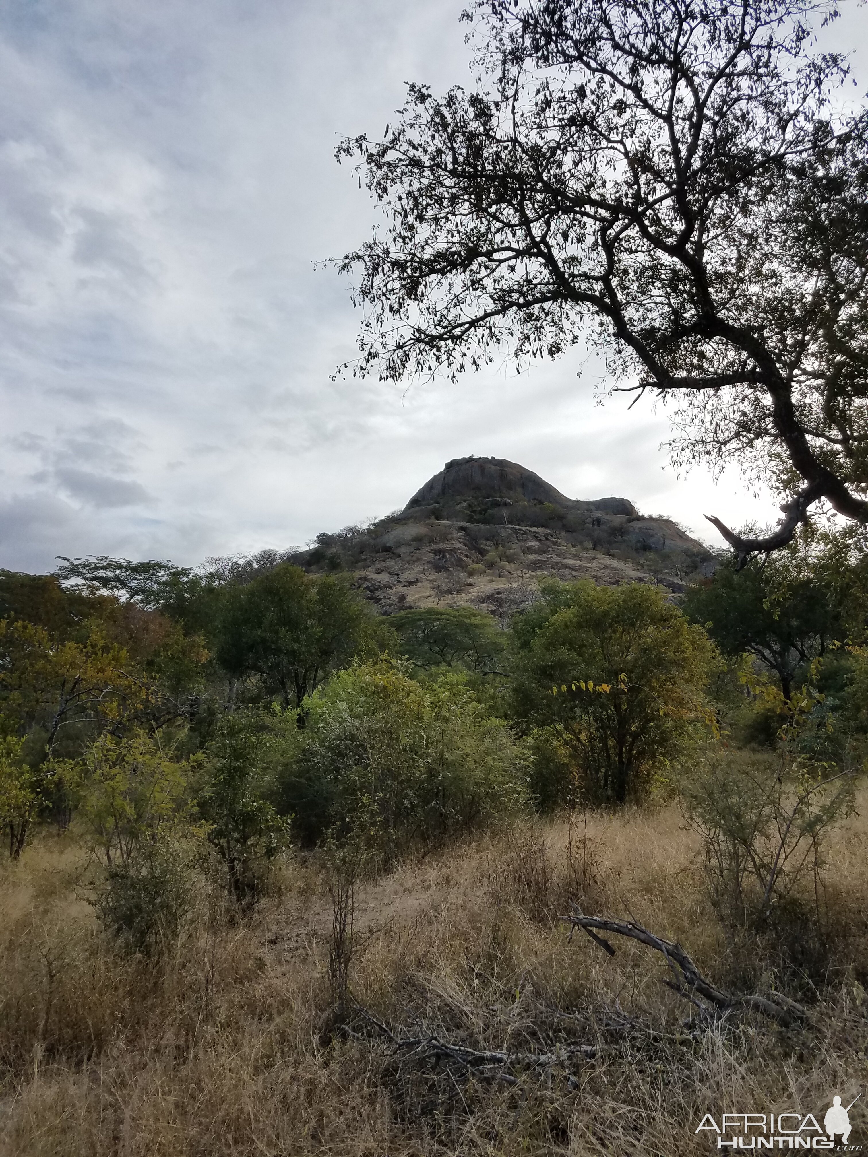 Hunting Area Zimbabwe