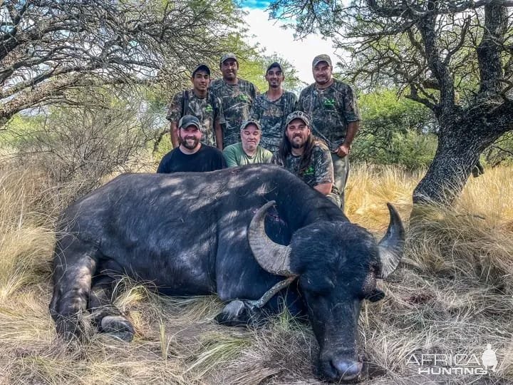 Hunting Asian Water Buffalo Argentina