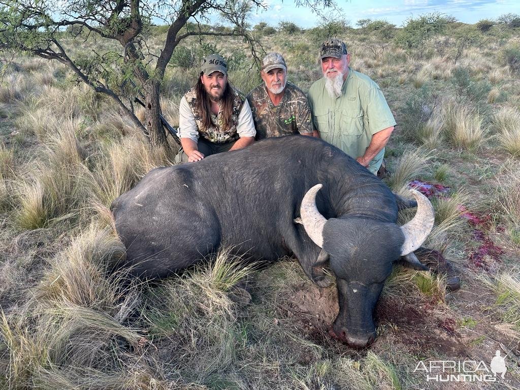 Hunting Asian Water Buffalo Argentina