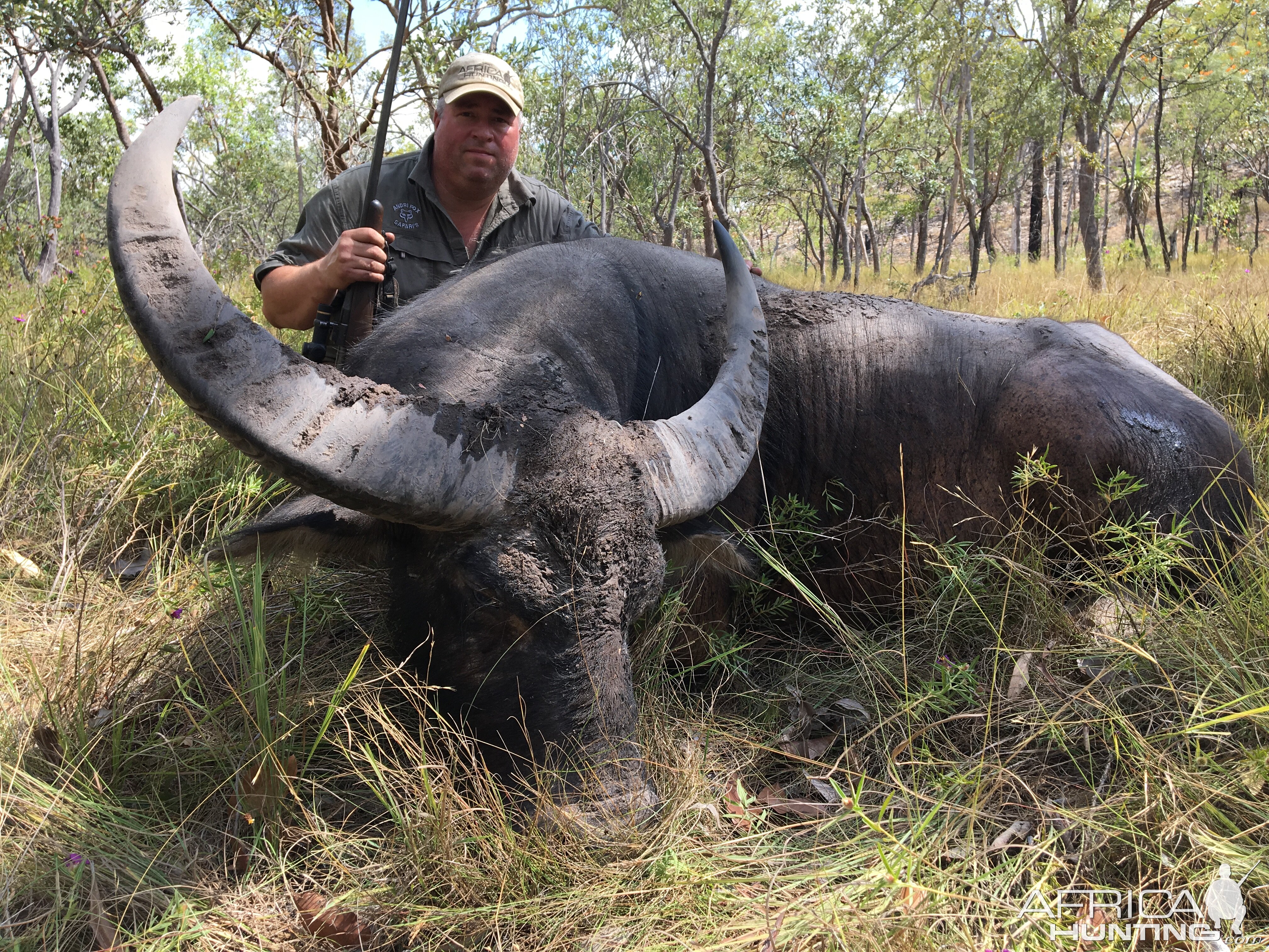 Hunting Asiatic Water Buffalo Australia