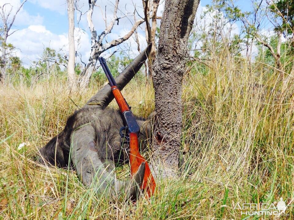 Hunting Asiatic Water Buffalo in Australia