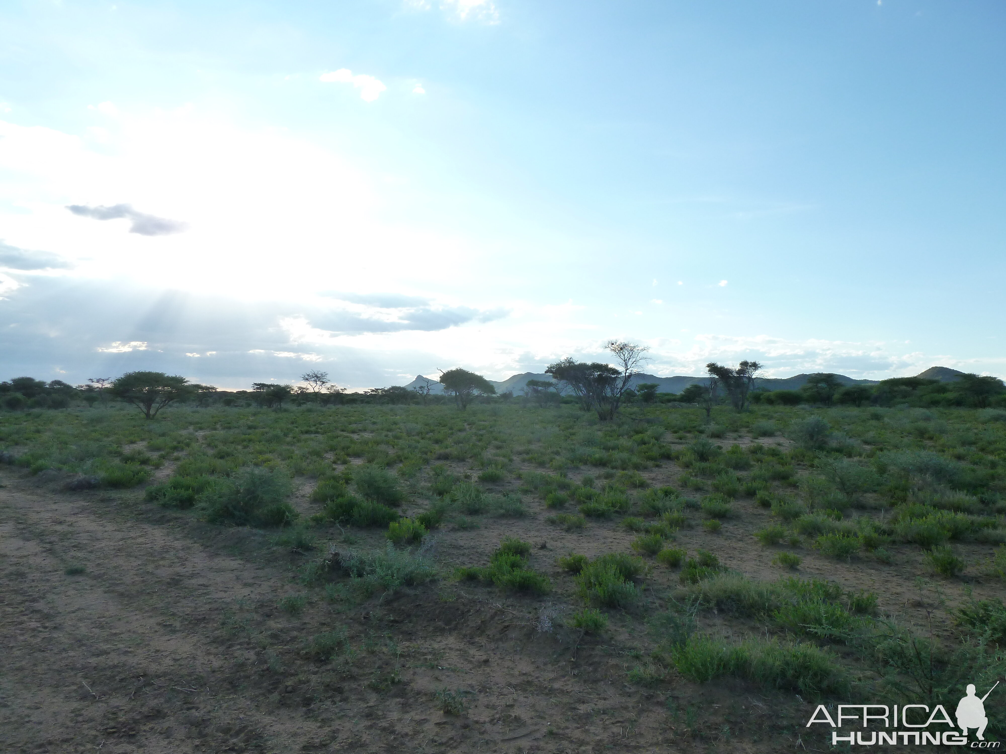 Hunting at Ozondjahe in Namibia