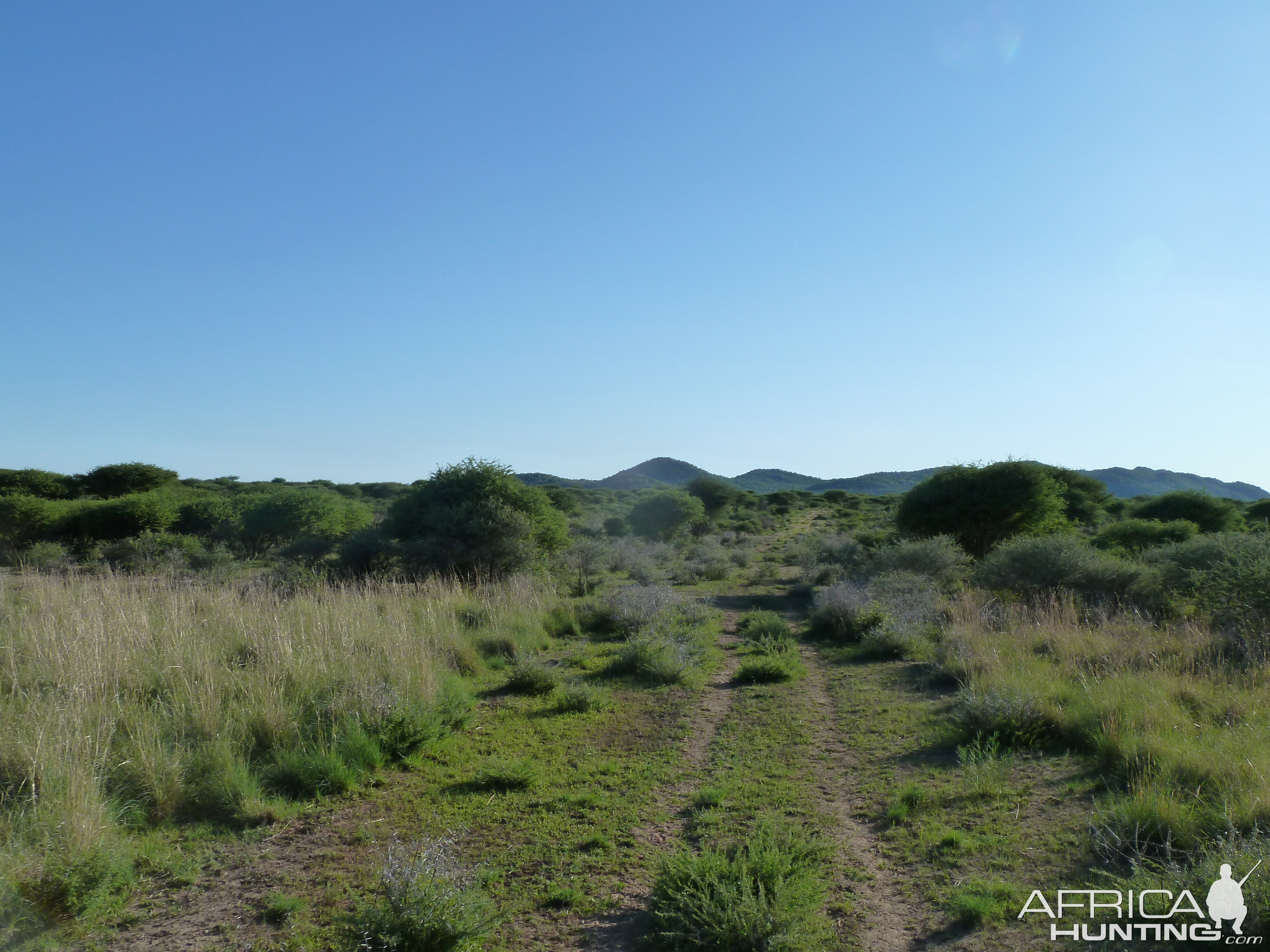 Hunting at Ozondjahe in Namibia