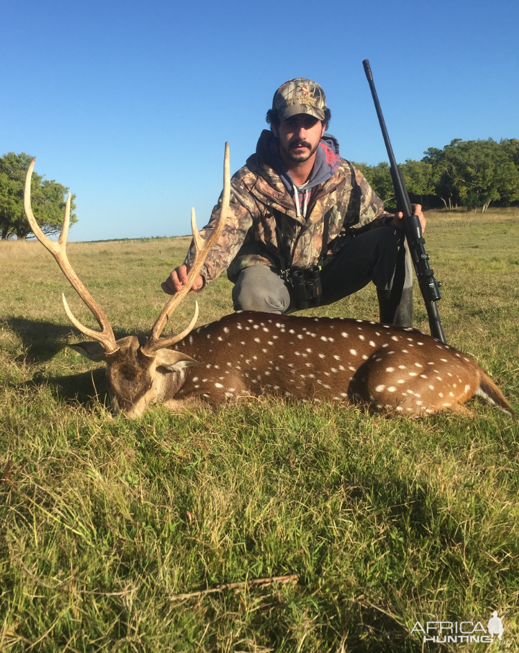 Hunting Axis Deer in Argentina