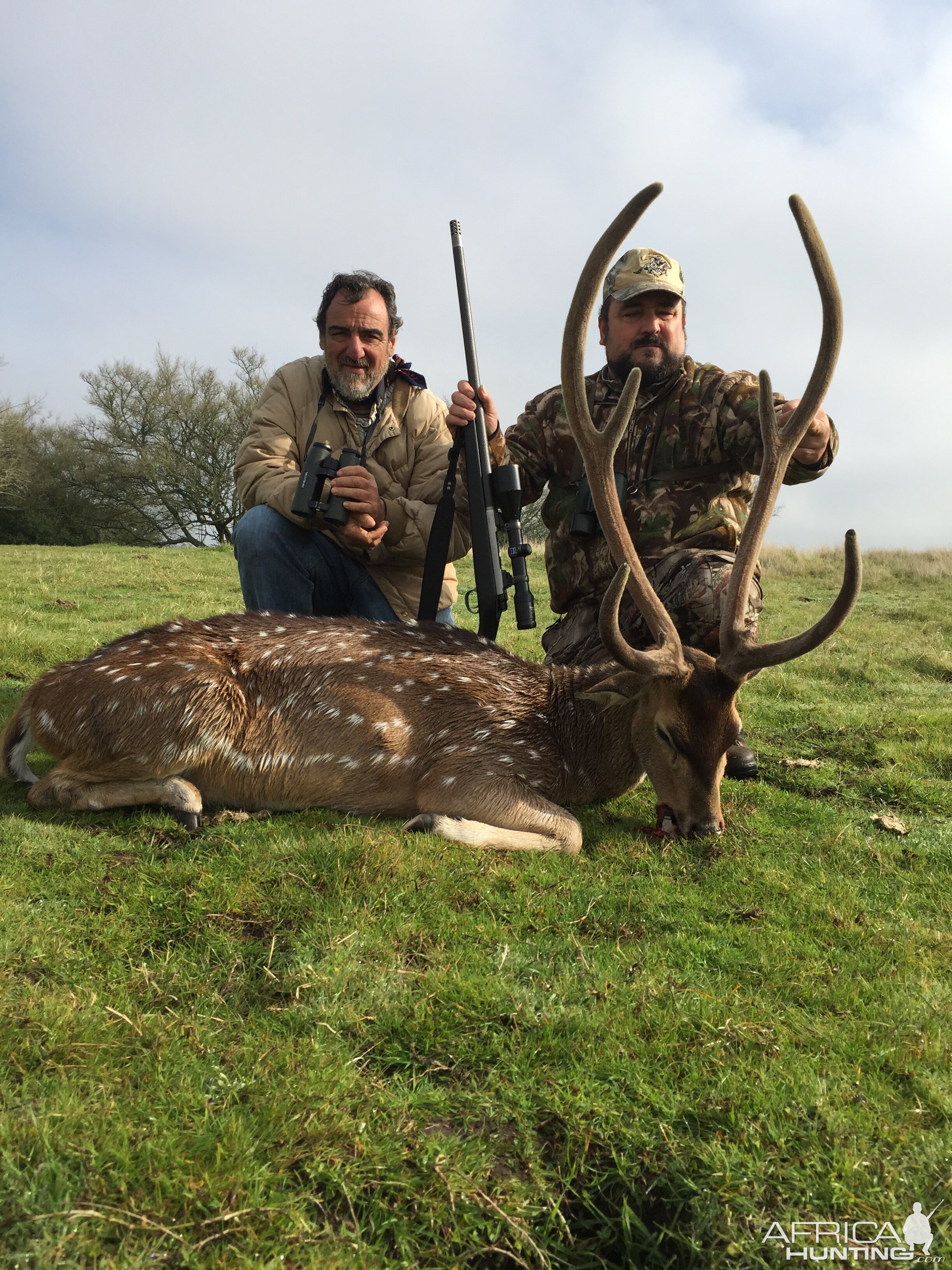 Hunting Axis Deer in Argentina