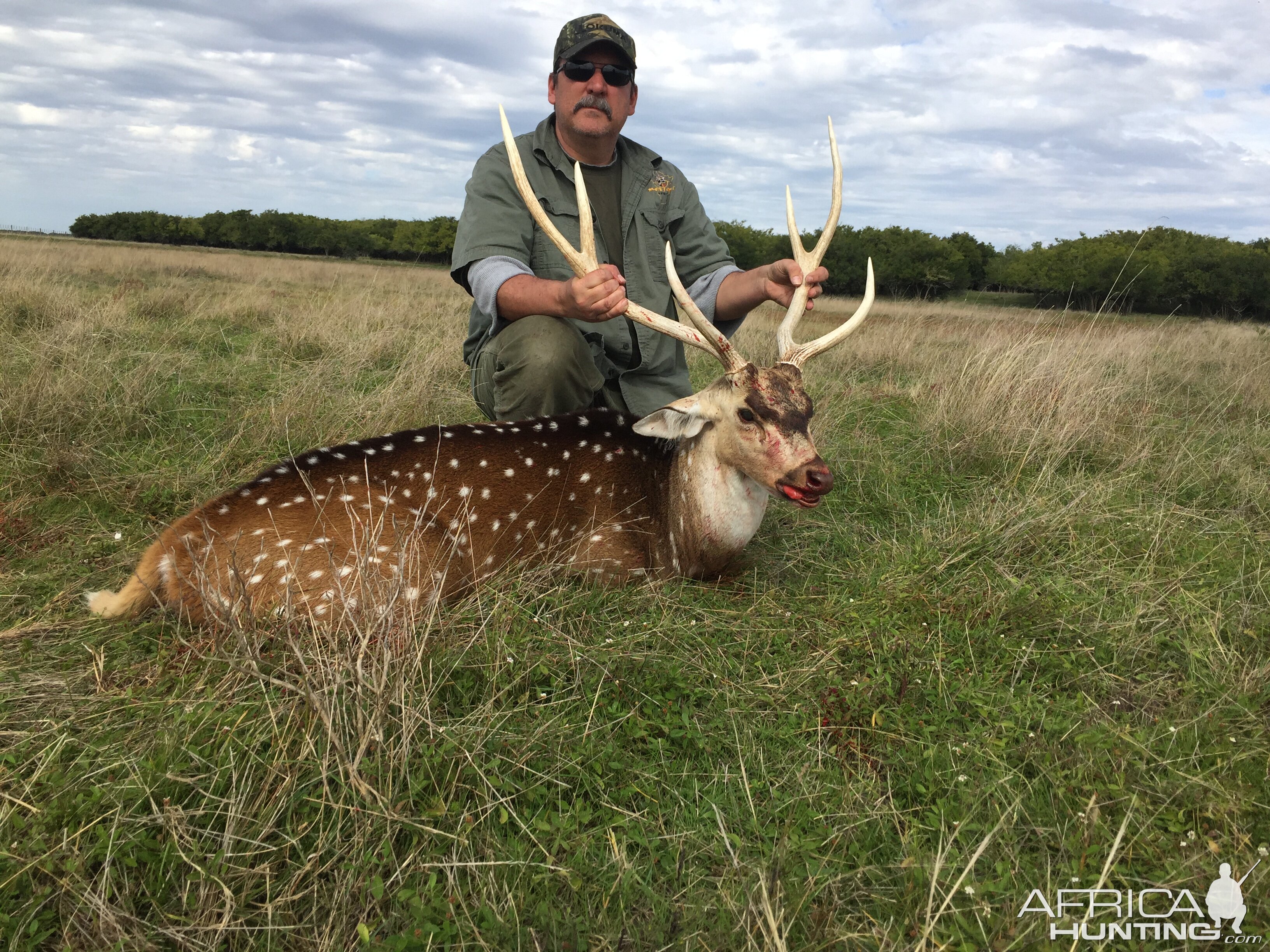 Hunting Axis Deer in Argentina