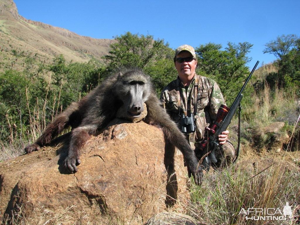 Hunting Baboon in South Africa