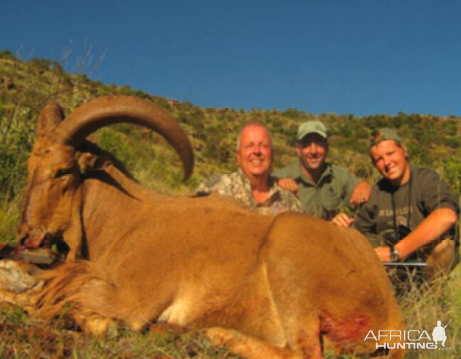 Hunting Barbary Sheep with Wintershoek Johnny Vivier Safaris in SA