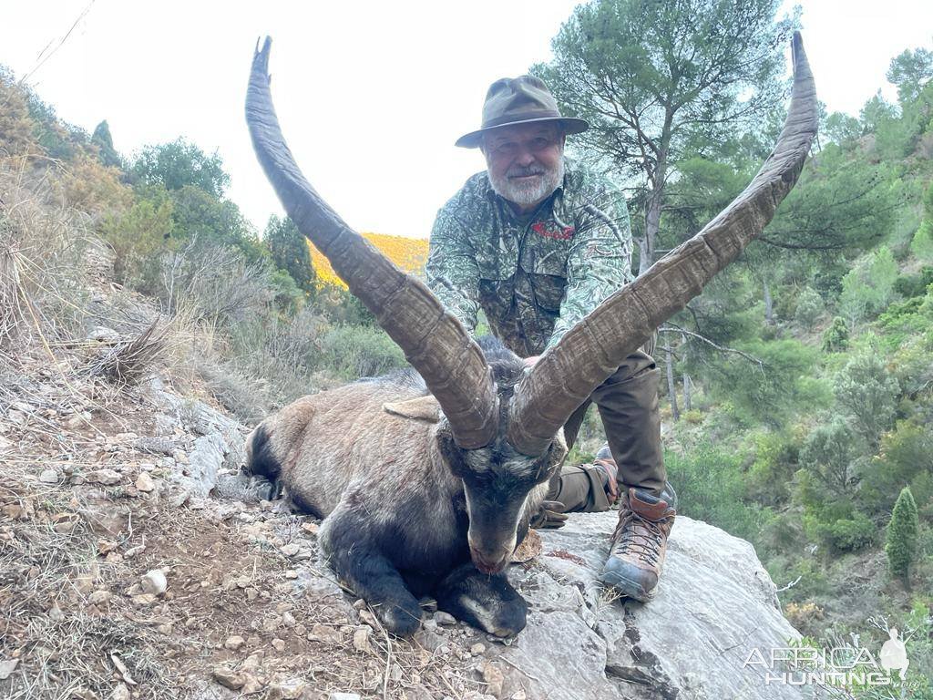 Hunting Beceite Spain Ibex