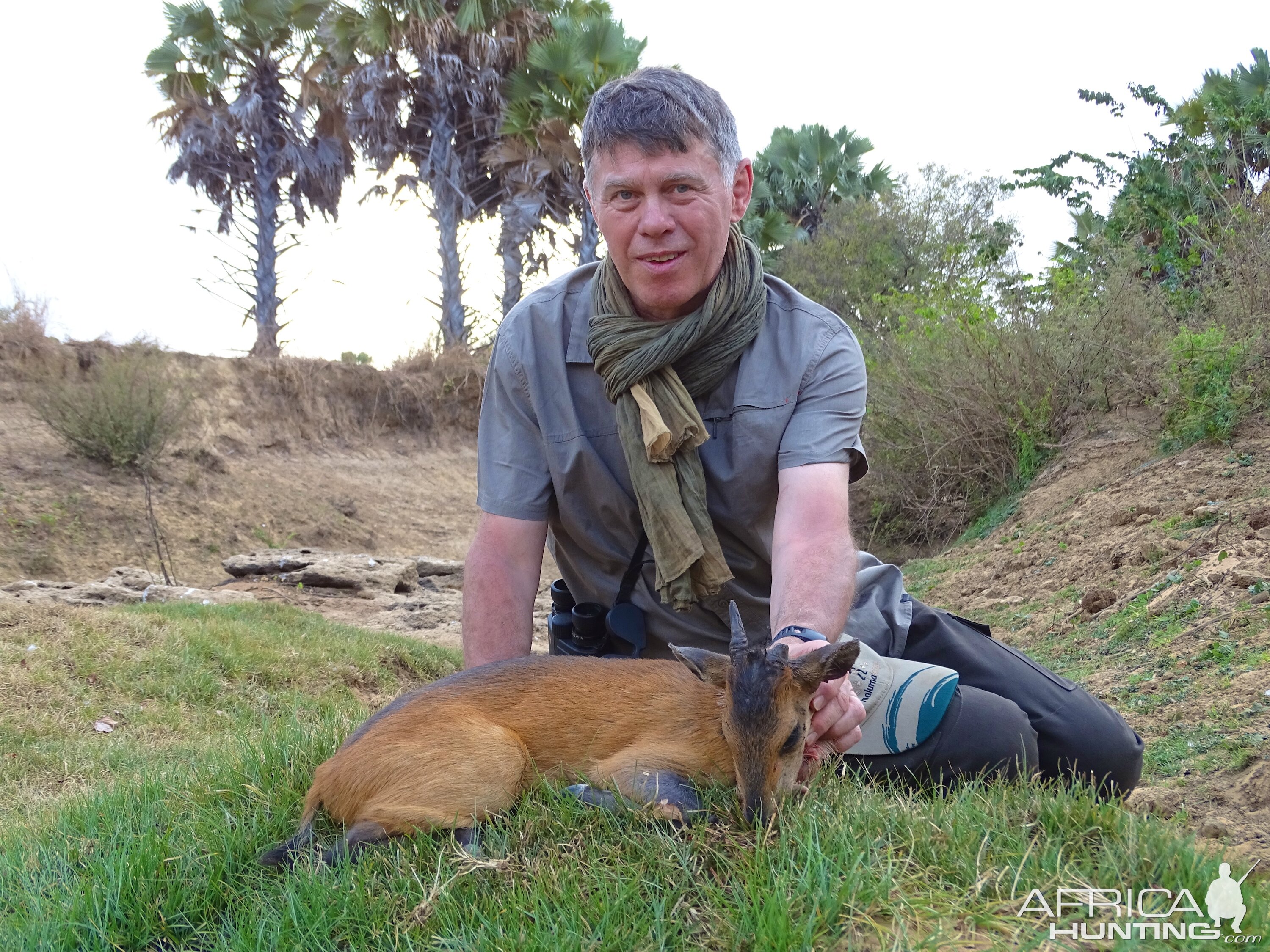 Hunting Benin Red Duiker