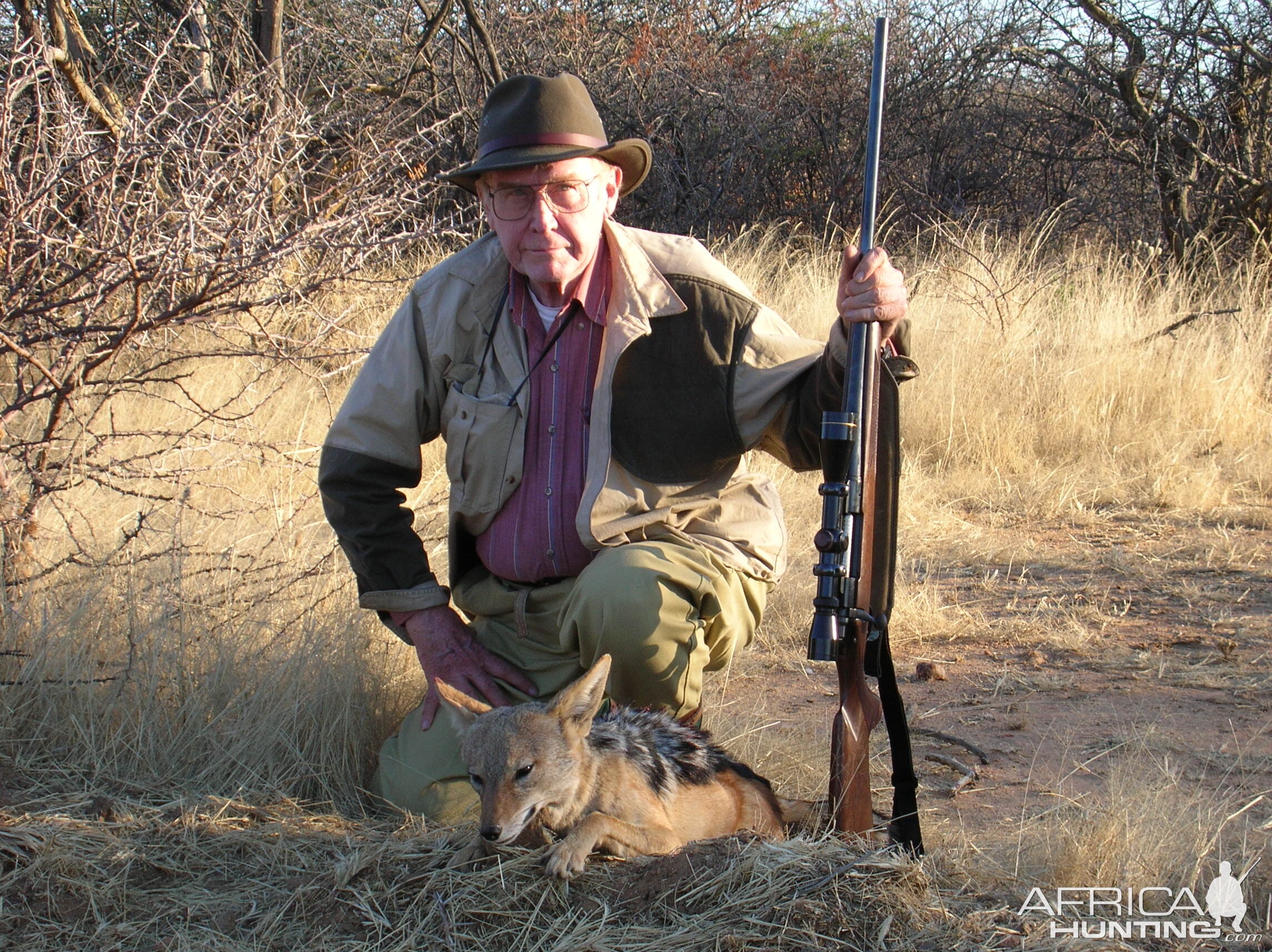 Hunting Black-backed Jackal in Namibia