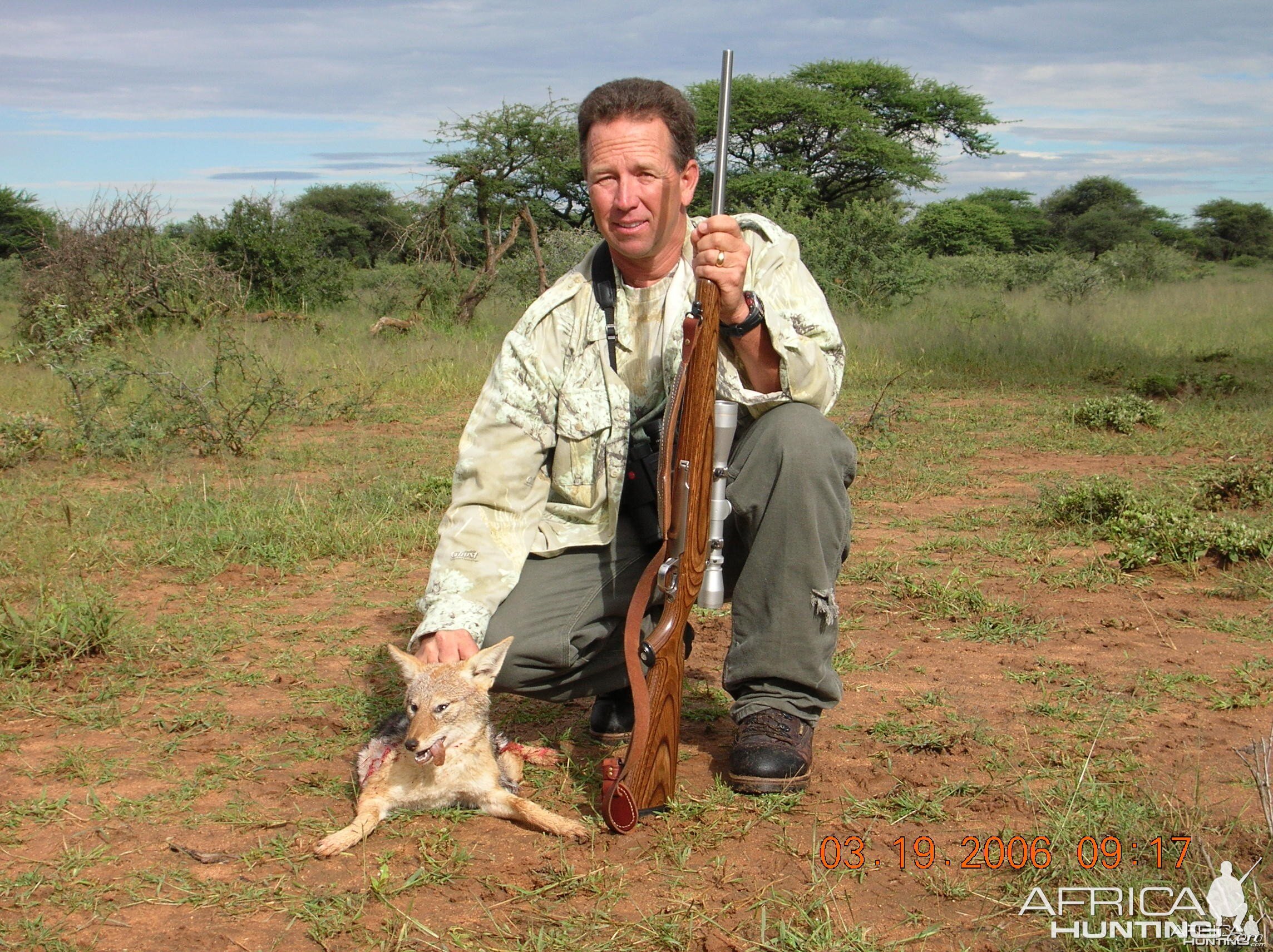 Hunting Black-backed Jackal in Namibia