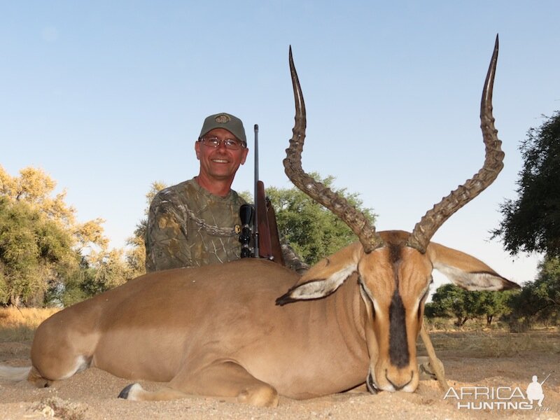 Hunting Black-faced Impala Nambia