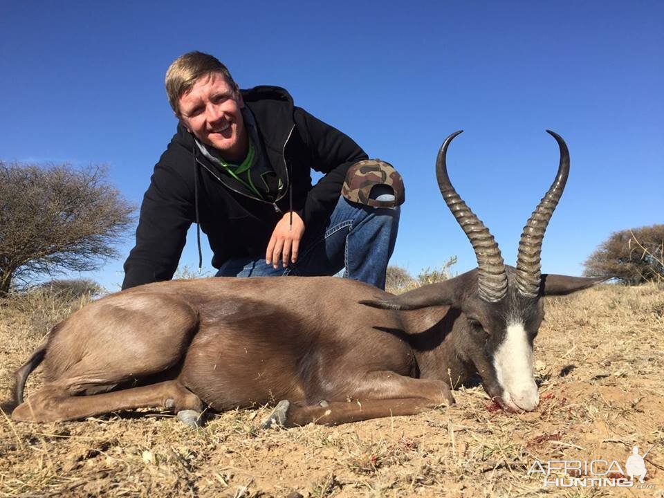 Hunting Black Springbuck South Africa