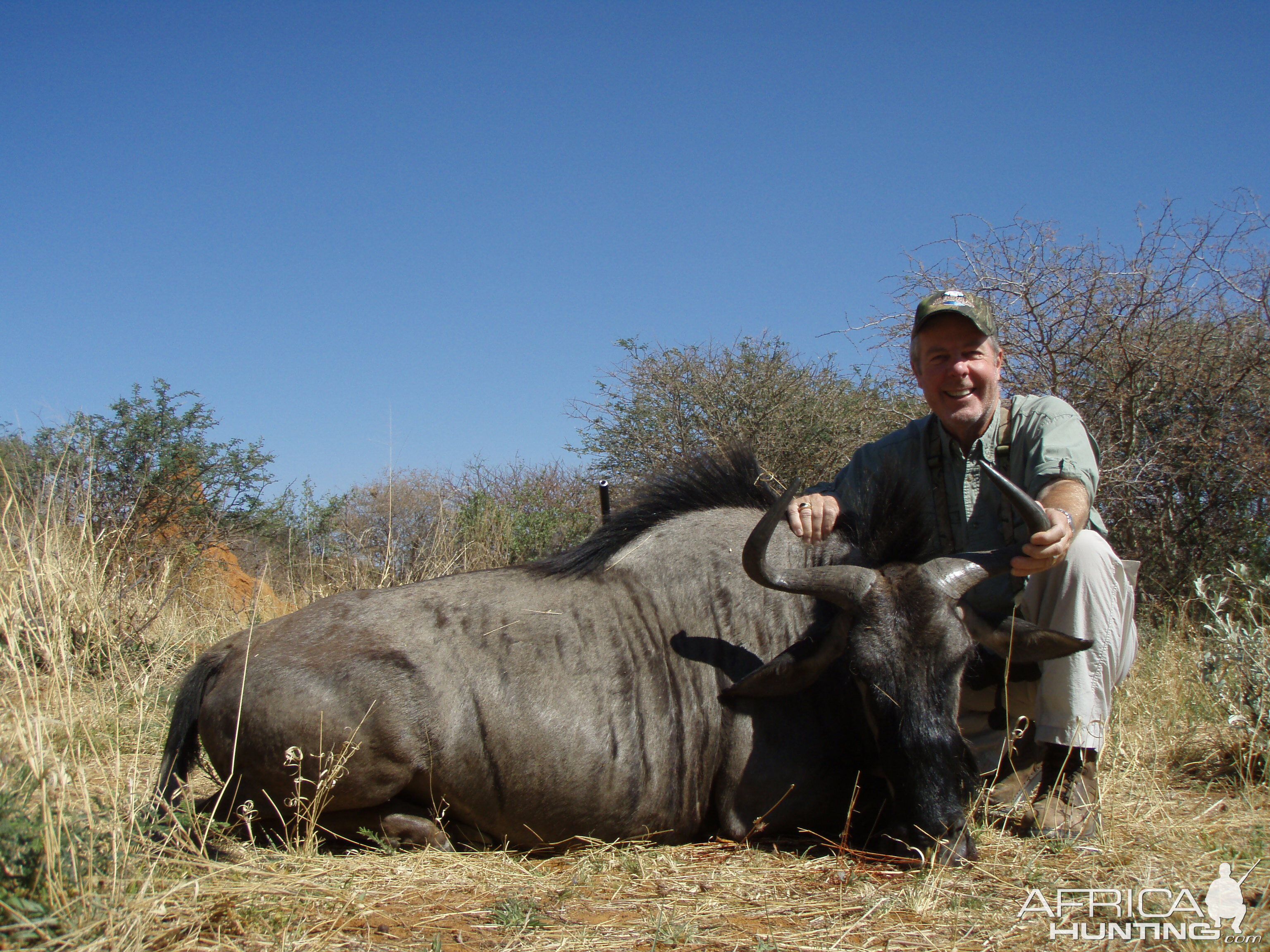 Hunting Black Wildebeest in Namibia