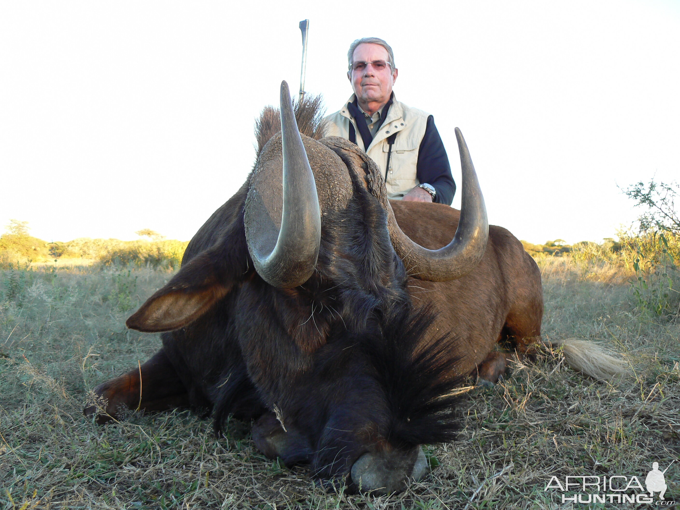 Hunting Black Wildebeest in Namibia