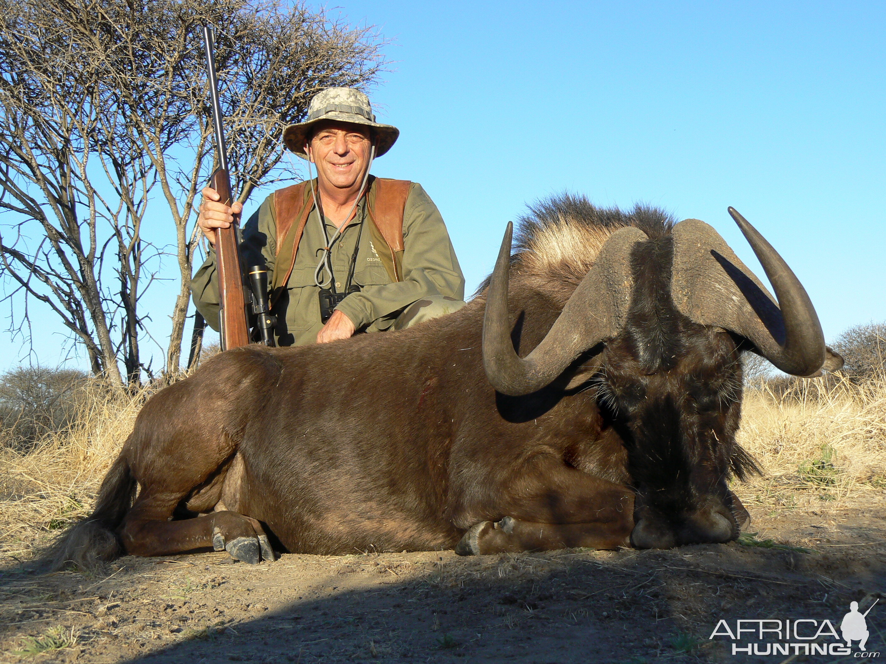 Hunting Black Wildebeest in Namibia