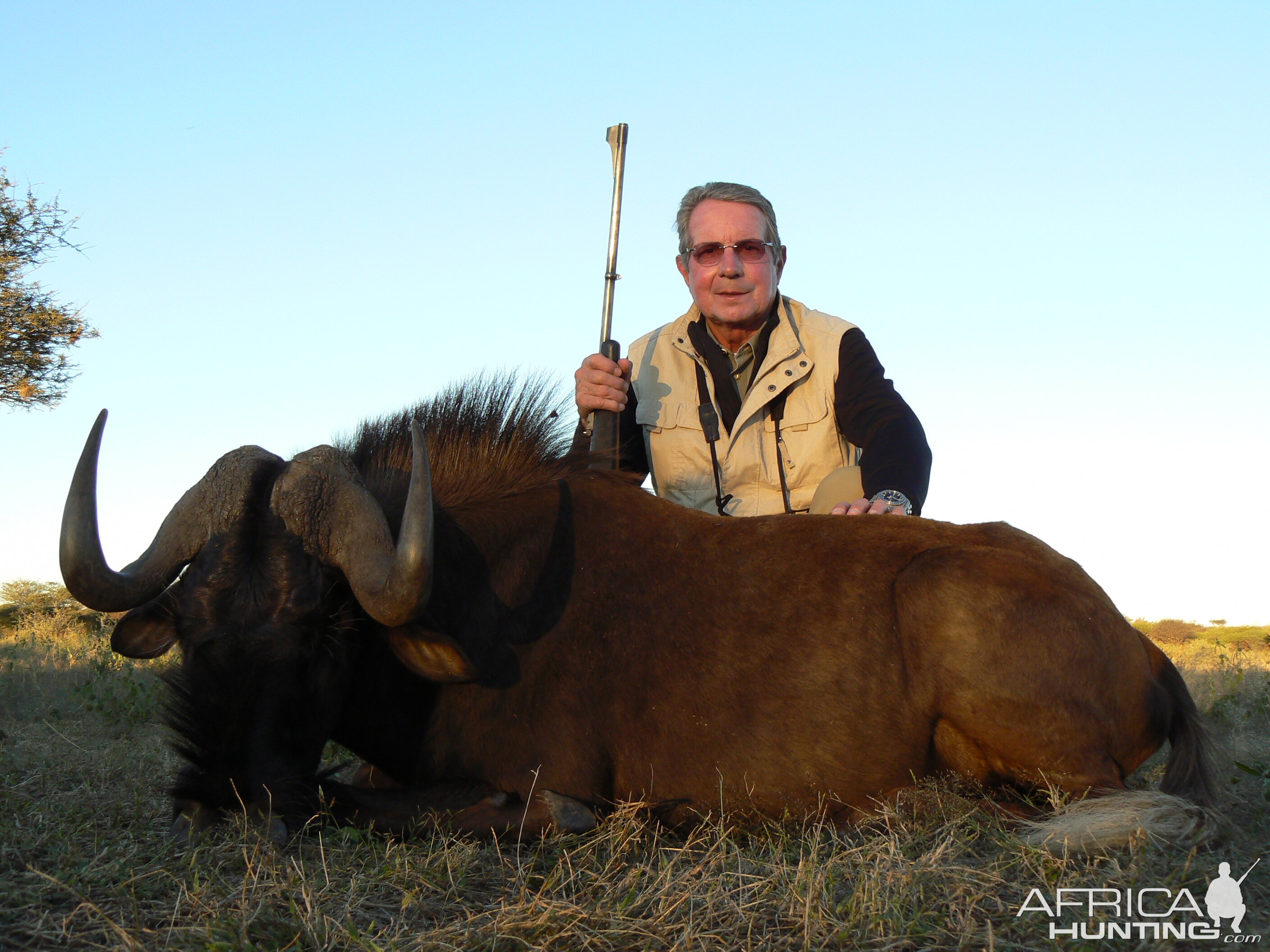 Hunting Black Wildebeest in Namibia