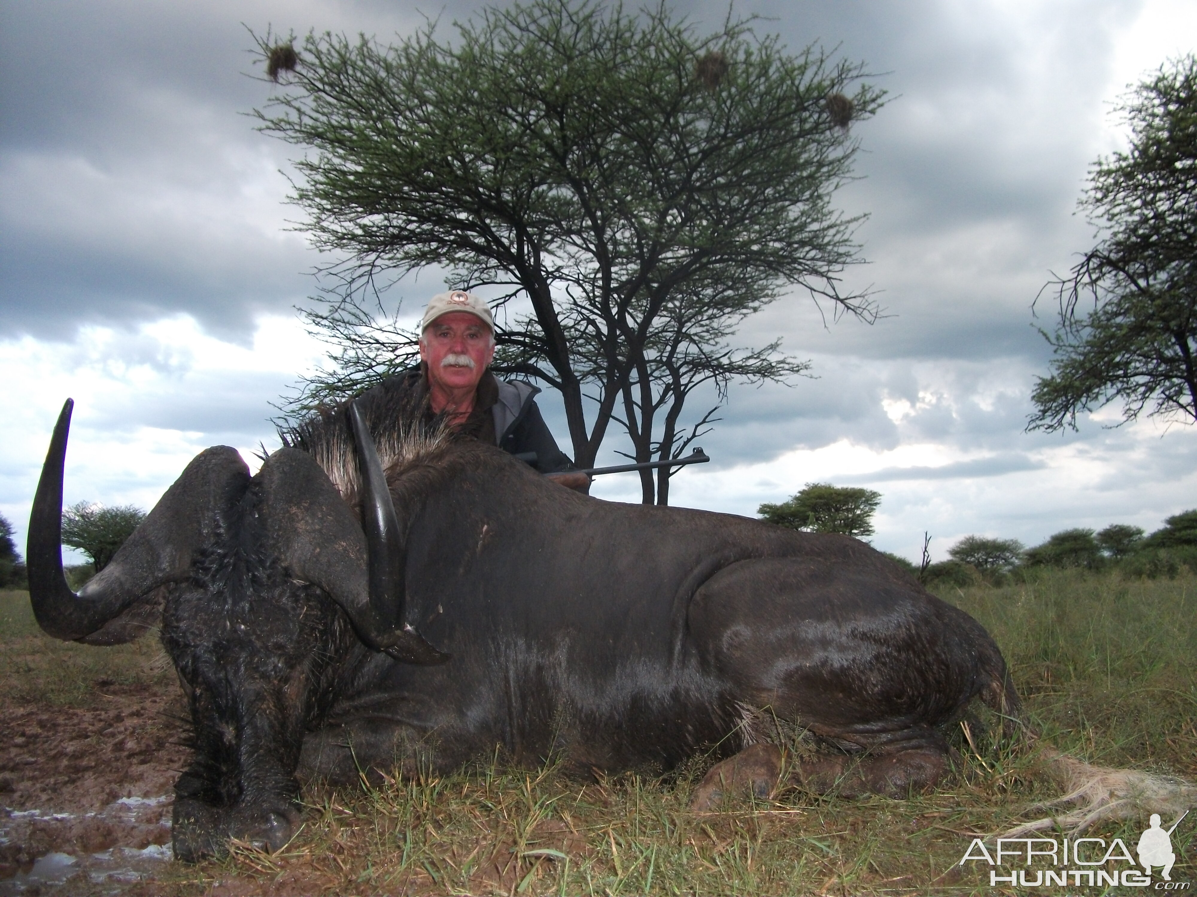 Hunting Black Wildebeest in Namibia