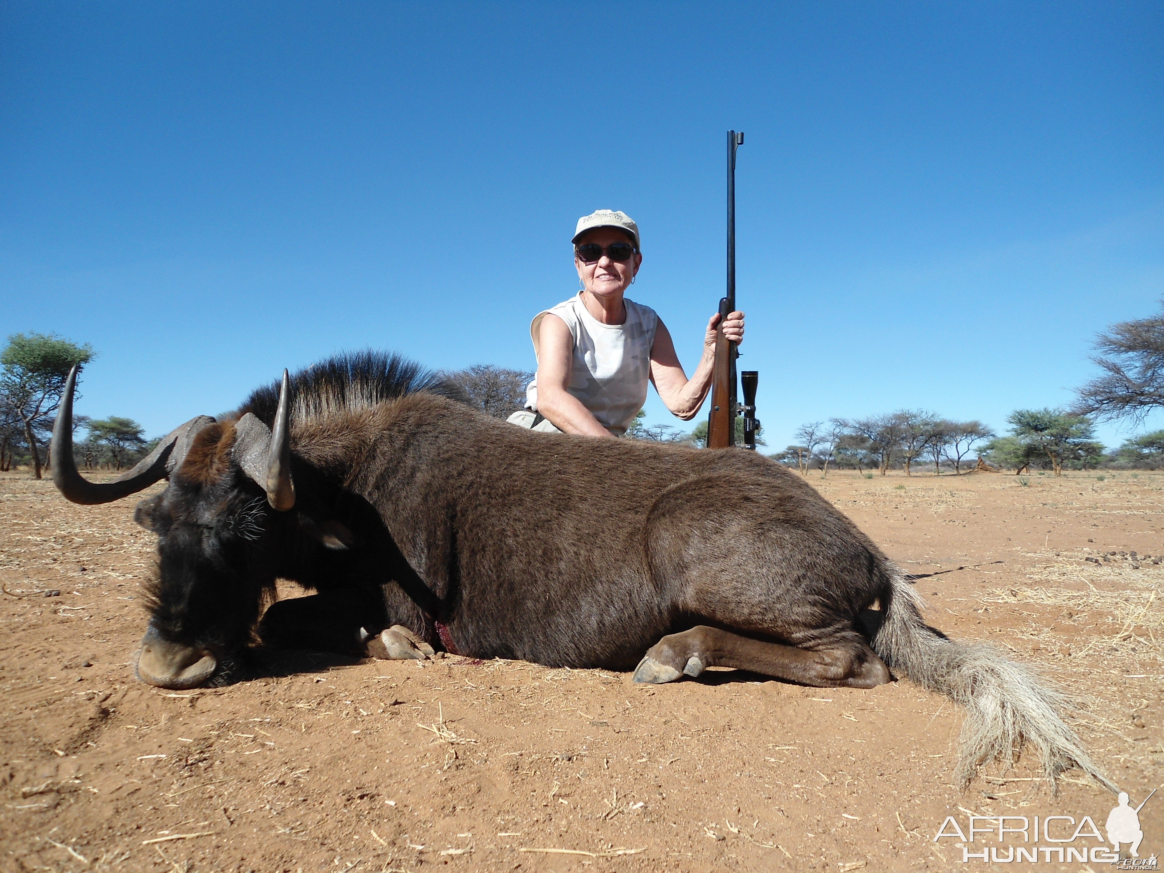 Hunting Black Wildebeest in Namibia