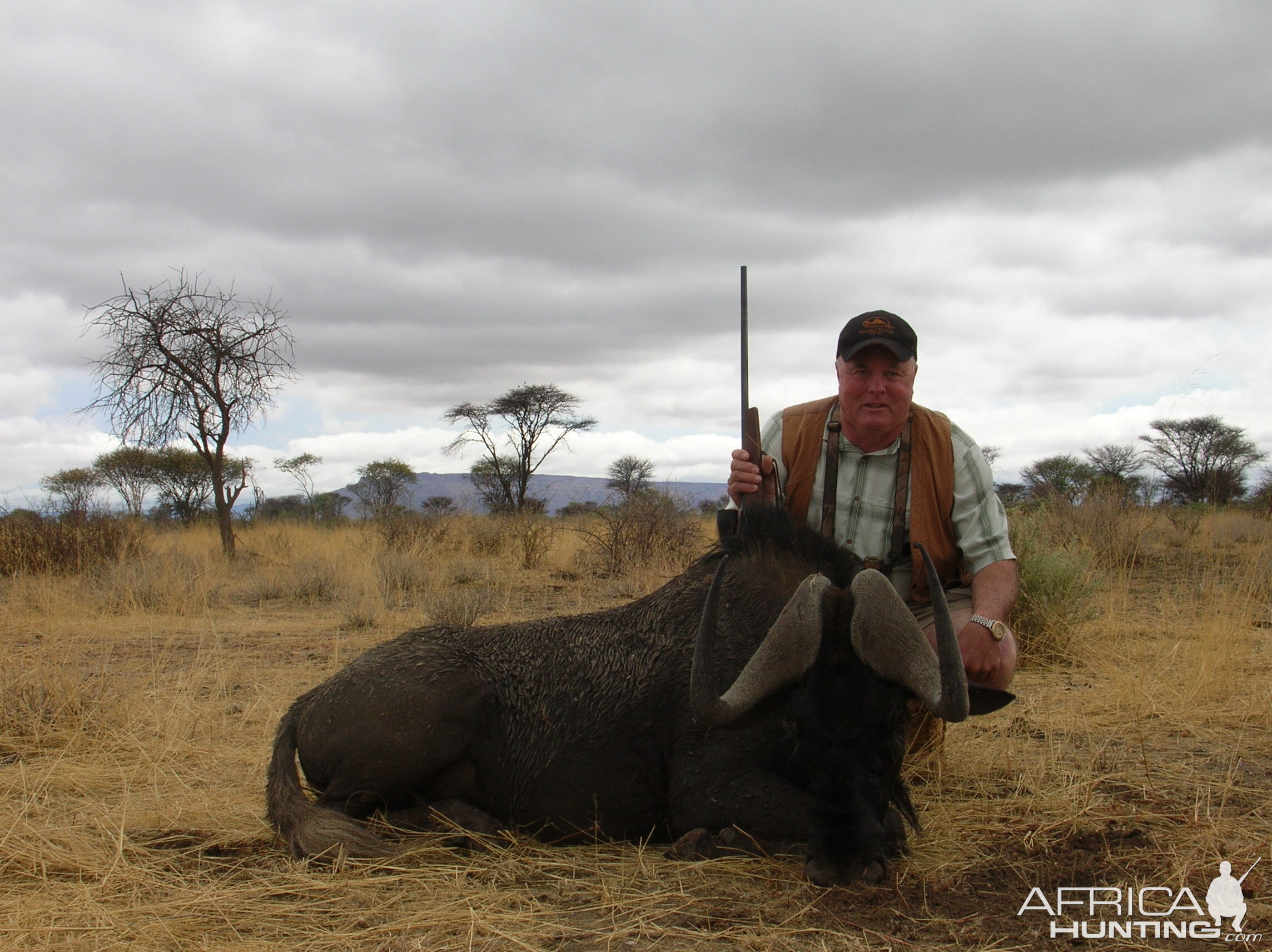 Hunting Black Wildebeest in Namibia