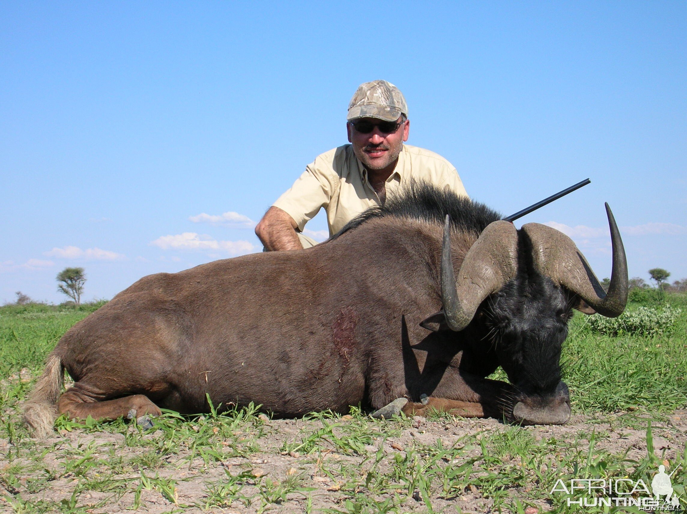 Hunting Black Wildebeest in Namibia