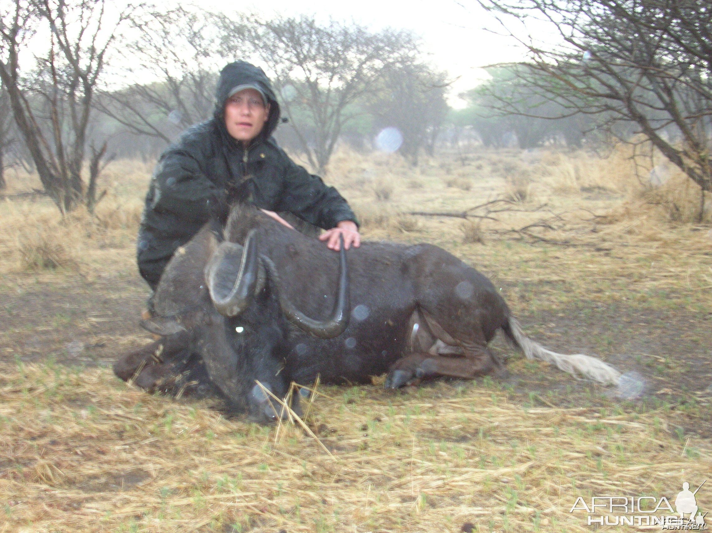 Hunting Black Wildebeest in Namibia