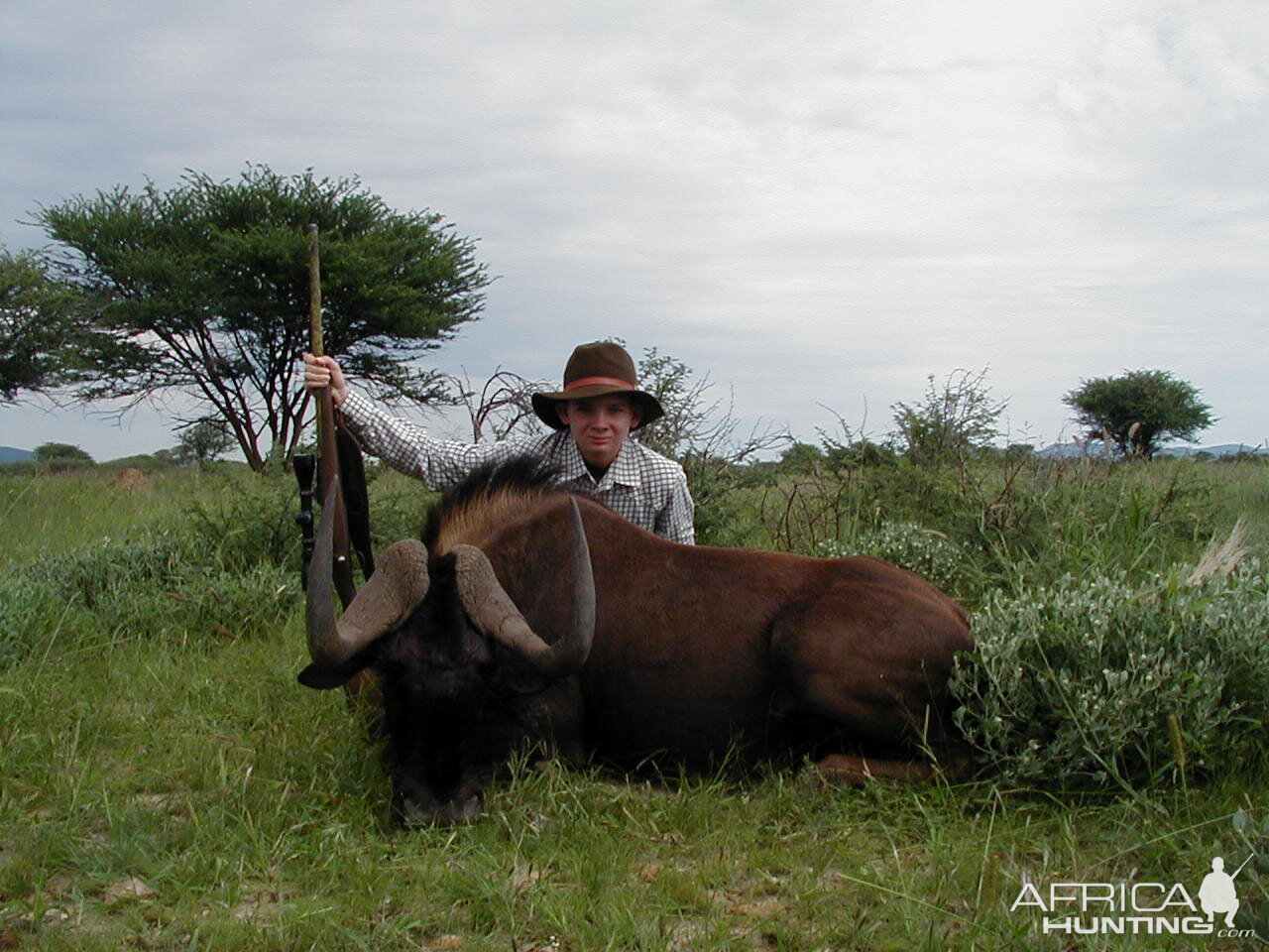 Hunting Black Wildebeest in Namibia