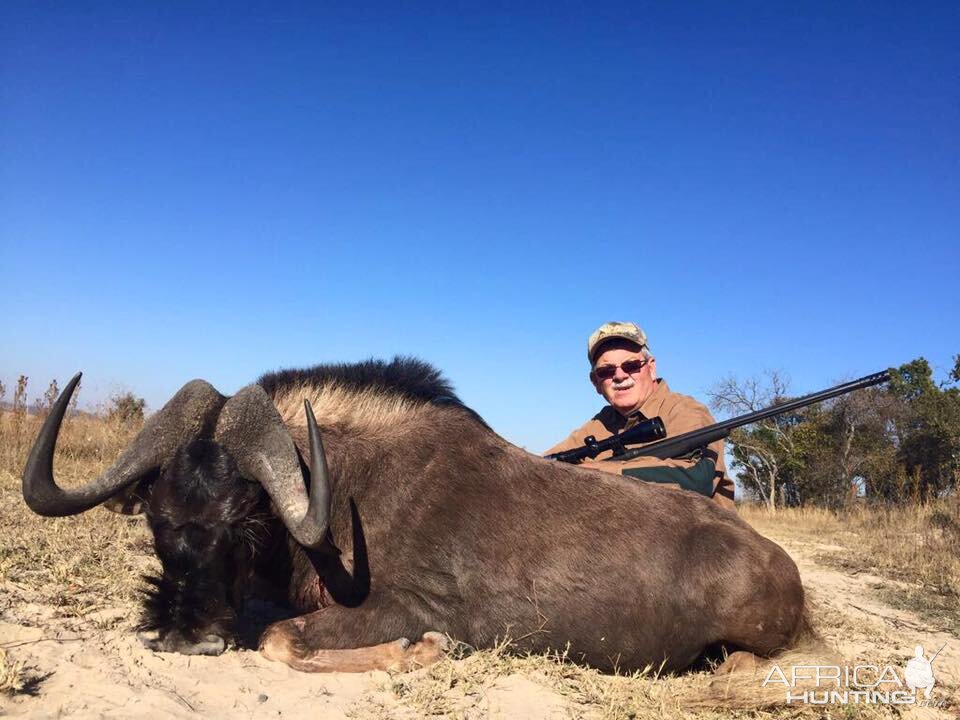 Hunting Black Wildebeest in South Africa