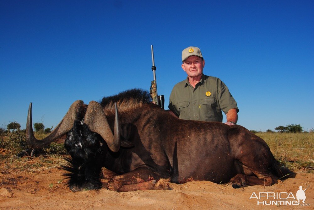 Hunting Black Wildebeest in South Africa